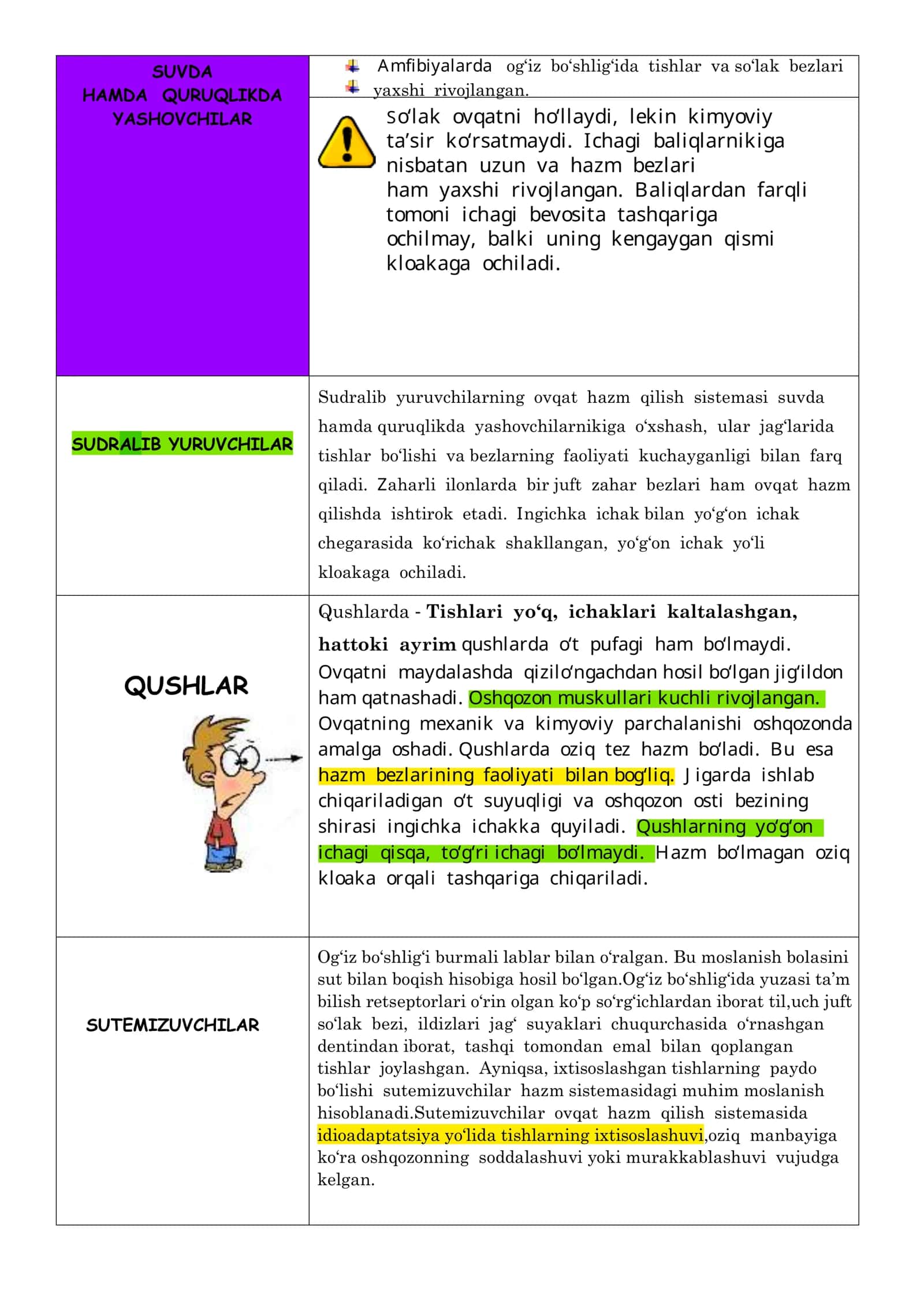HAYVONLARNING HAZM QILISH ORGANLARI EVOLUTSIYASI 2