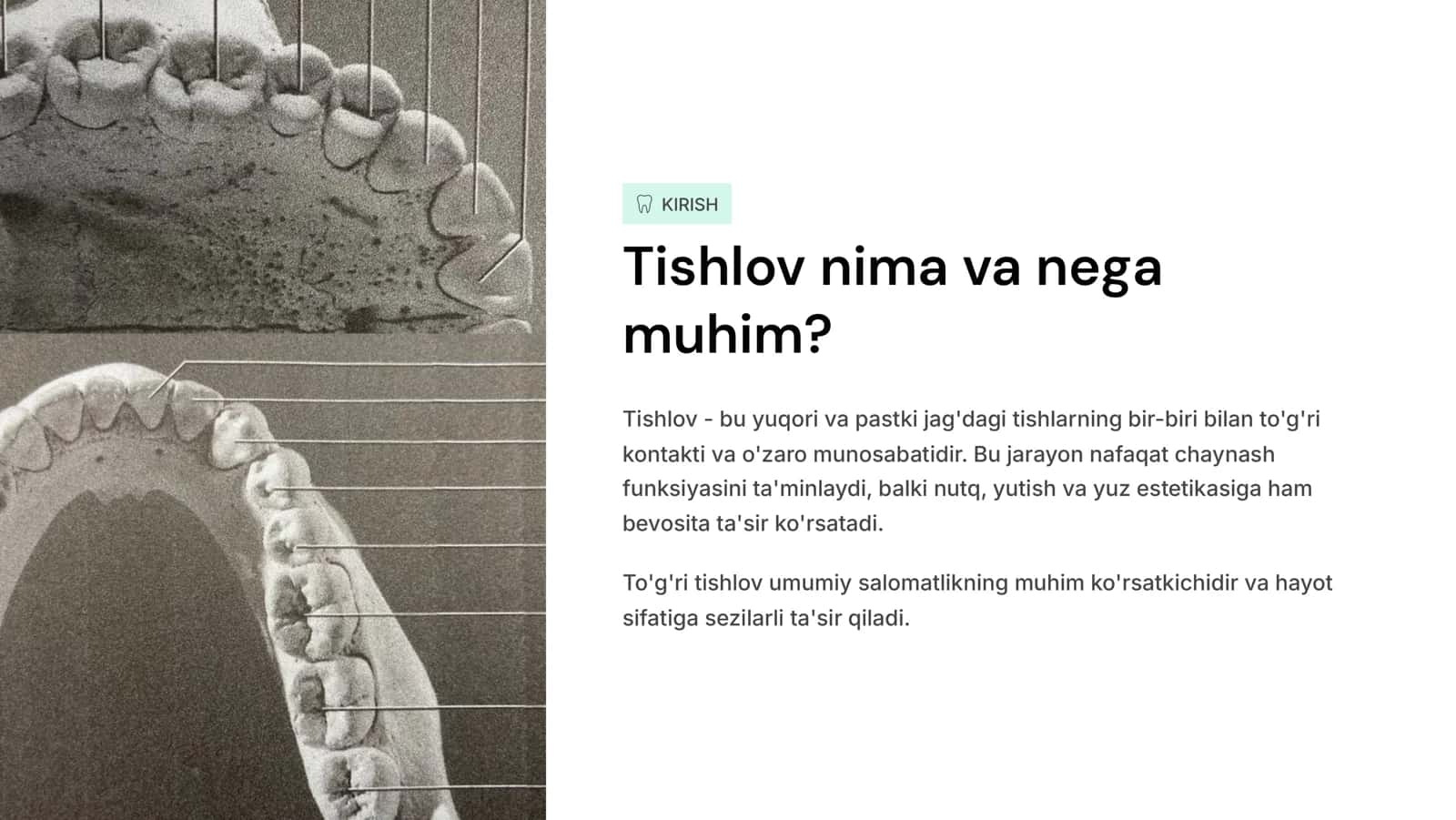 tishlov va uning turlari. Fiziologik va Patologik tishlov turlari. 2