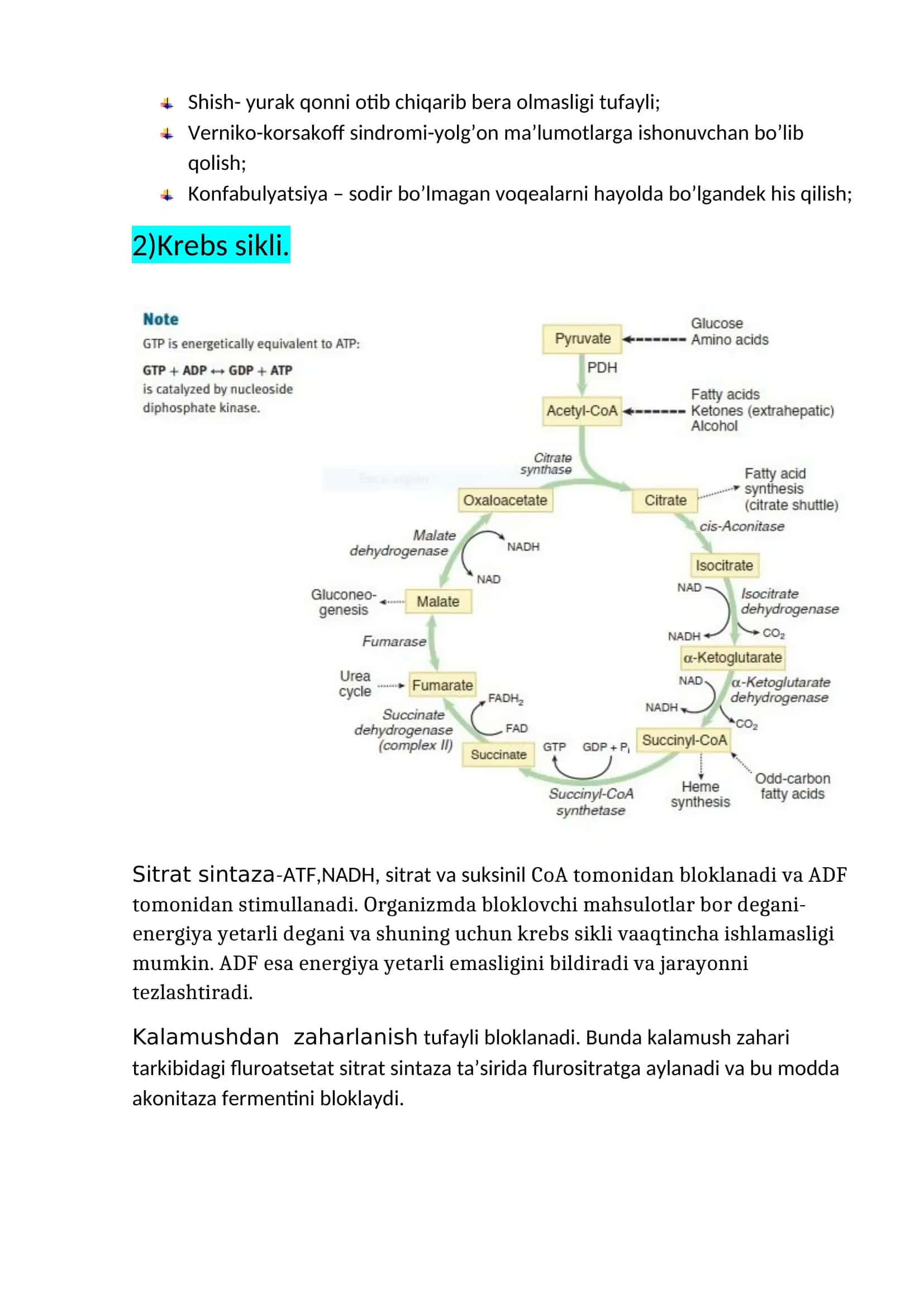 Krebs sikli 2