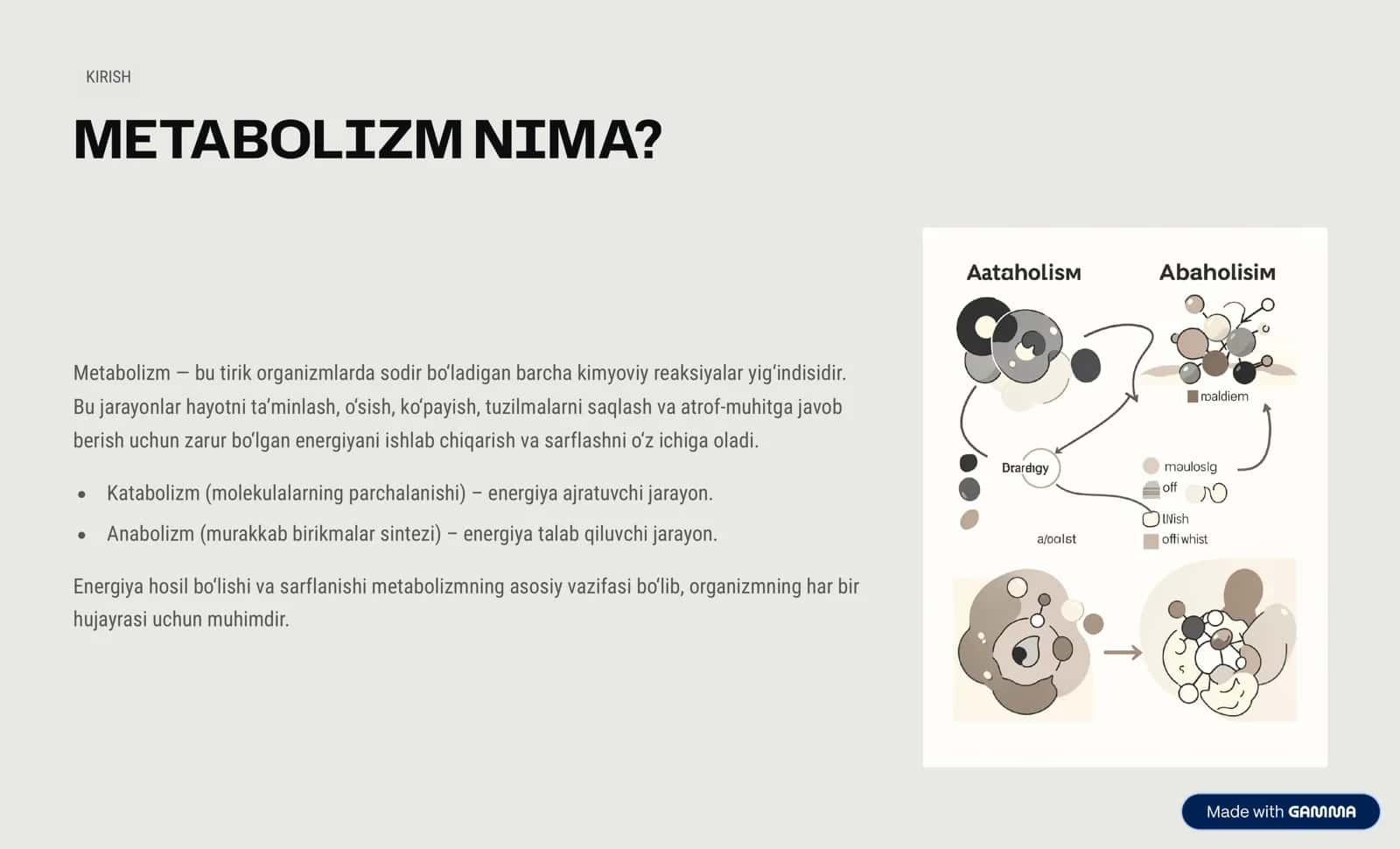 METABOLIZM VA YADRO KIMYOSI: ENERGIYA HOSIL BO‘LISHI VA TIBBIYOTDAGI O‘RNI 2
