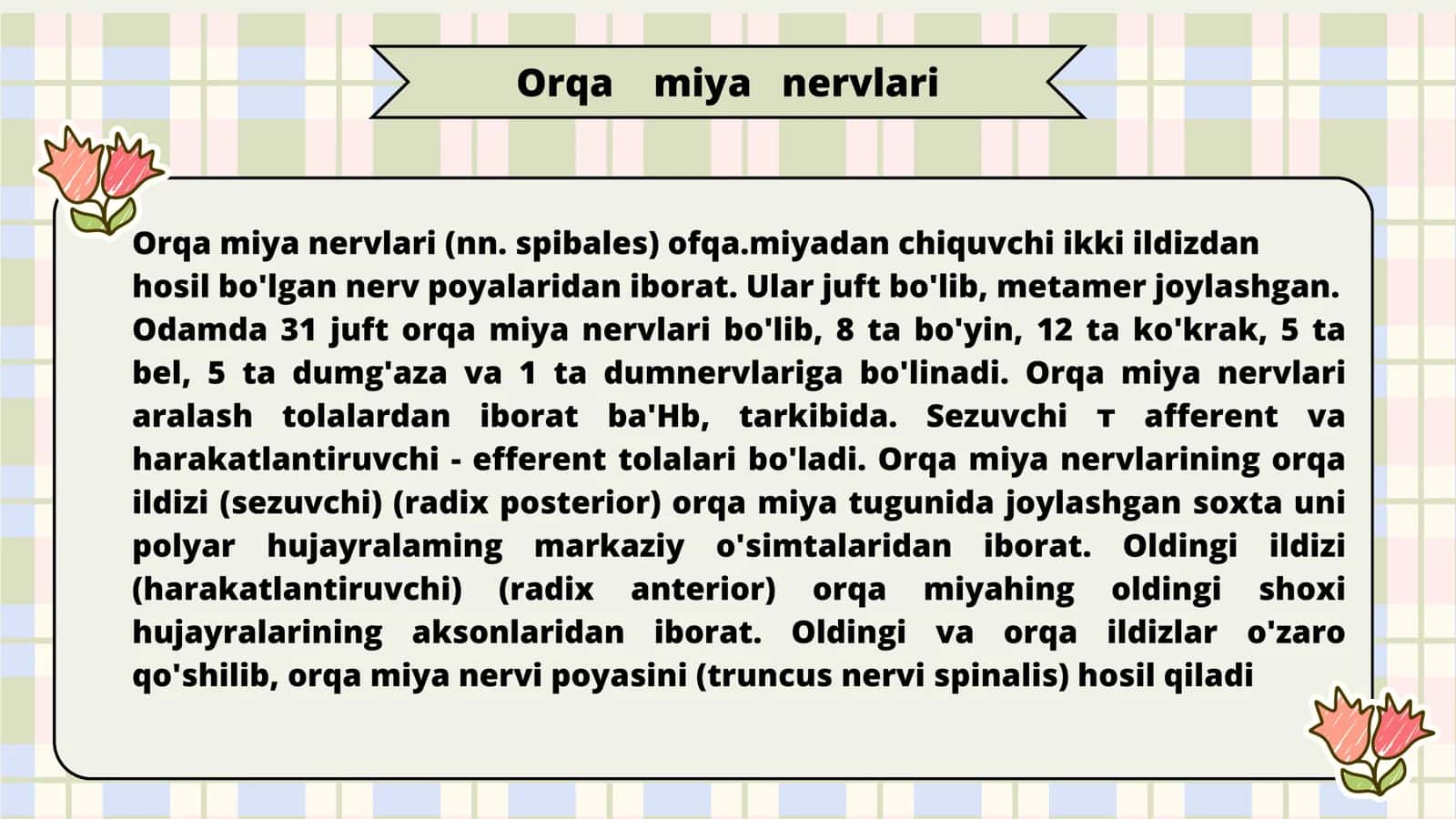 Orqa miya nervlari 2