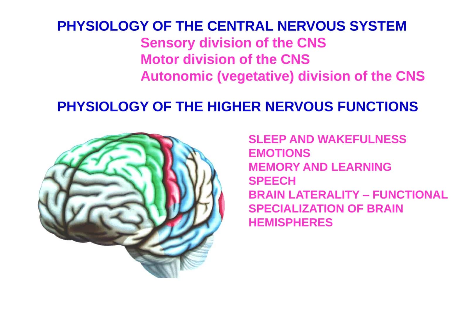 PHYSIOLOGY OF HIGHER NERVOUS FUNCTIONS 2