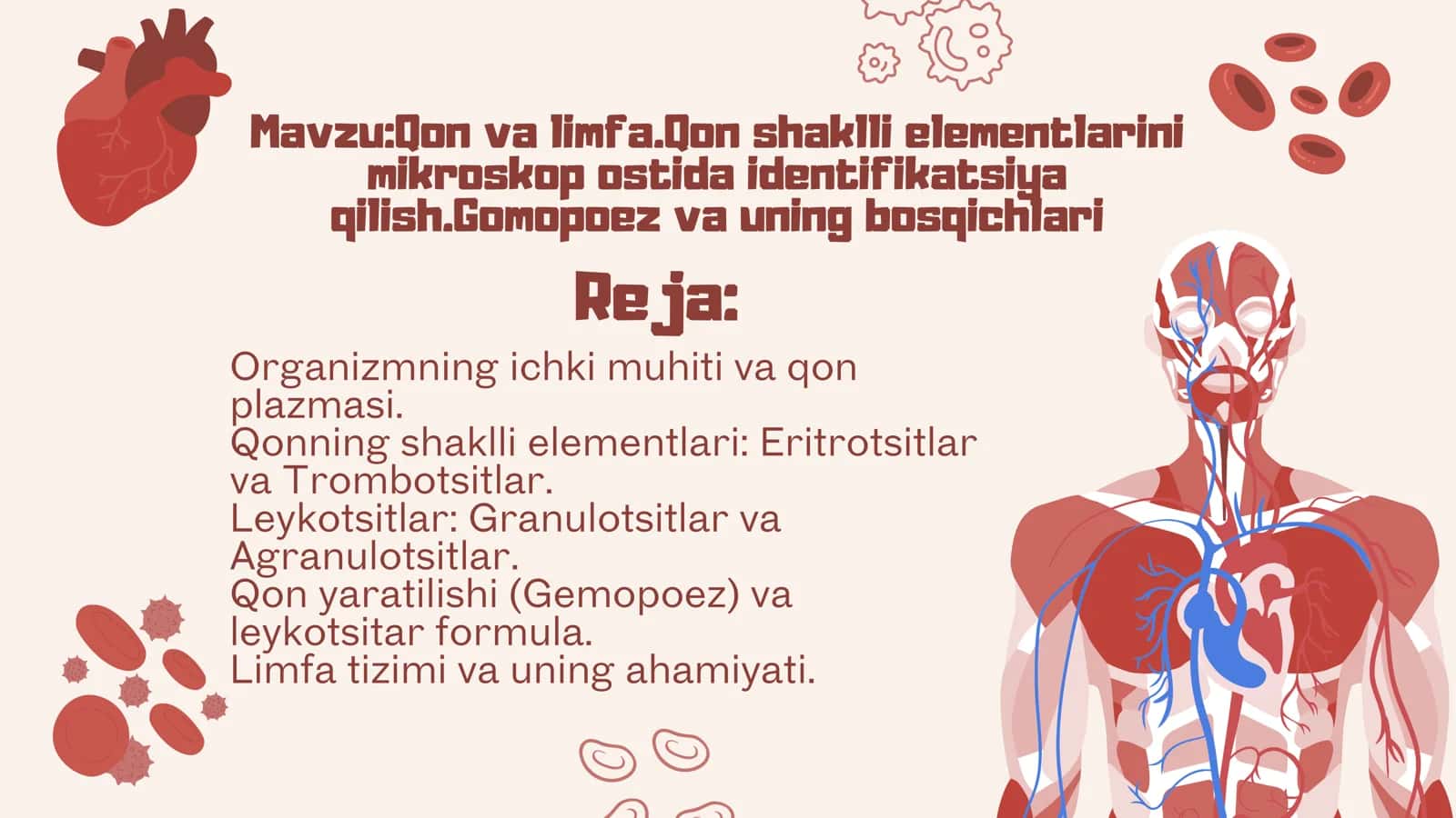 Qon va limfa.Qon shaklli elementlarini mikroskop ostida identifikatsiya qilish.Gomopoez va uning bosqichlari 2