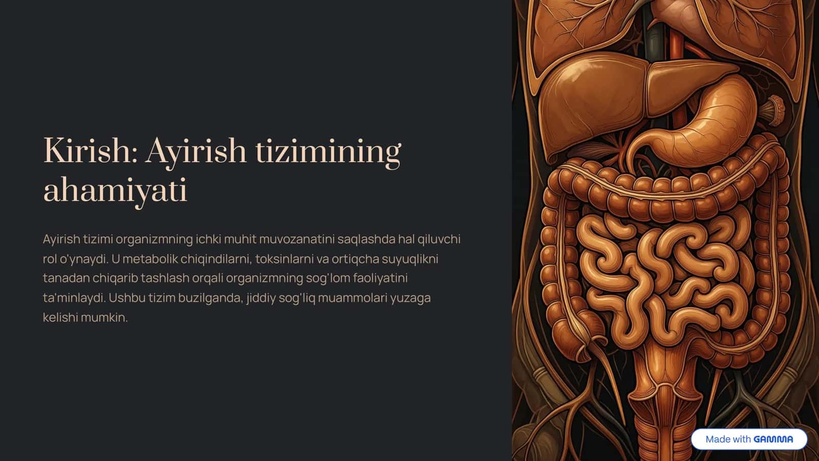 Ayirish tizimining kiruvchi a'zolarining tuzilishi va fiziologiyasi 2