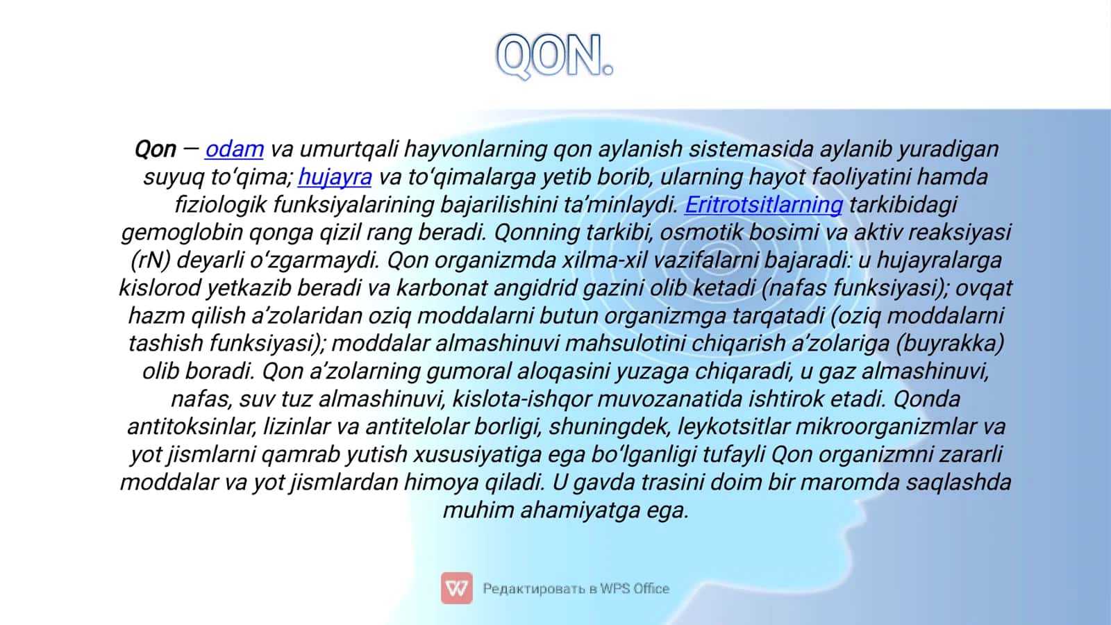 Qon va siyrak tolali biriktiruvchi toʻqima 2