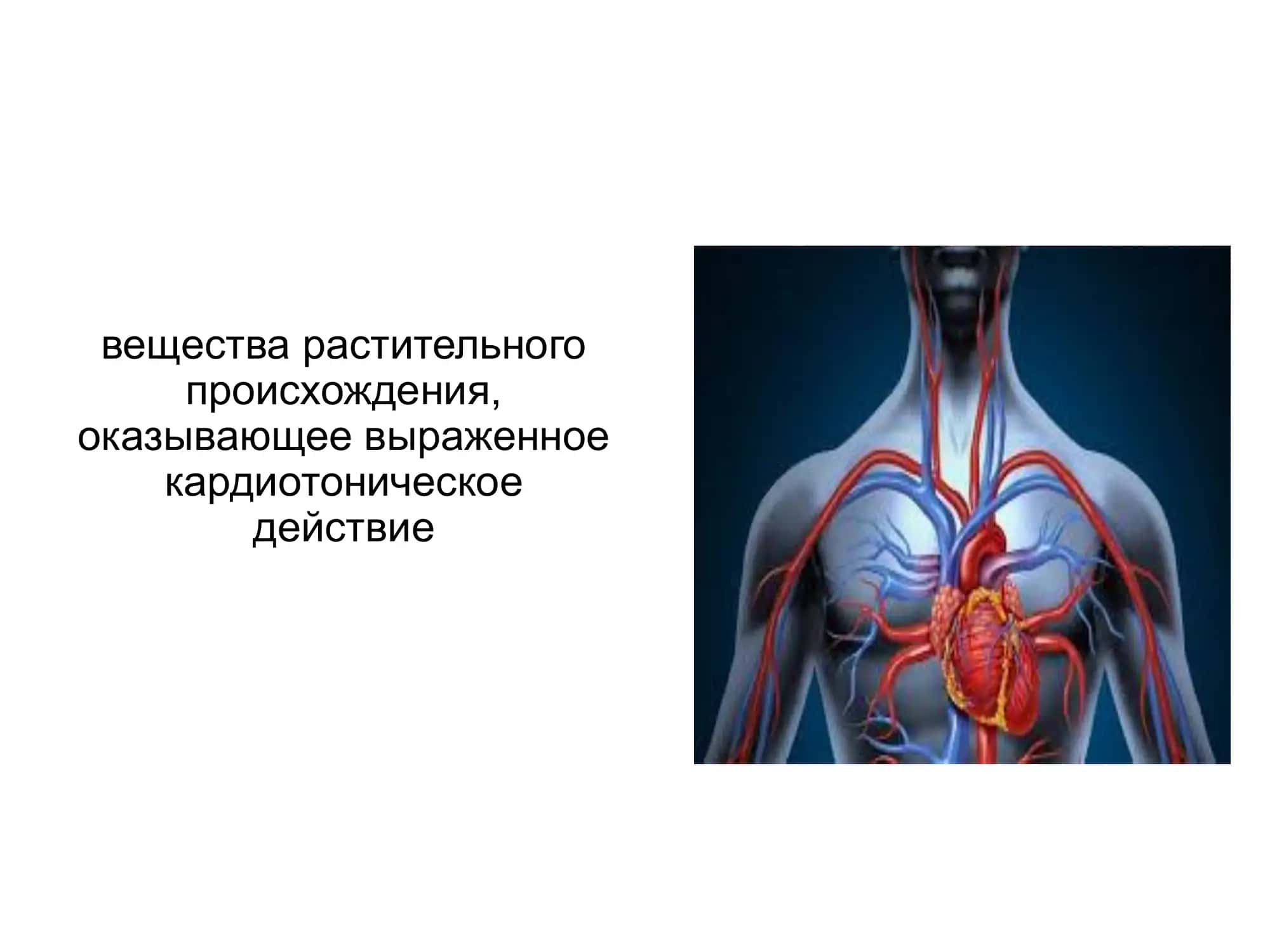 Фармакология 2
