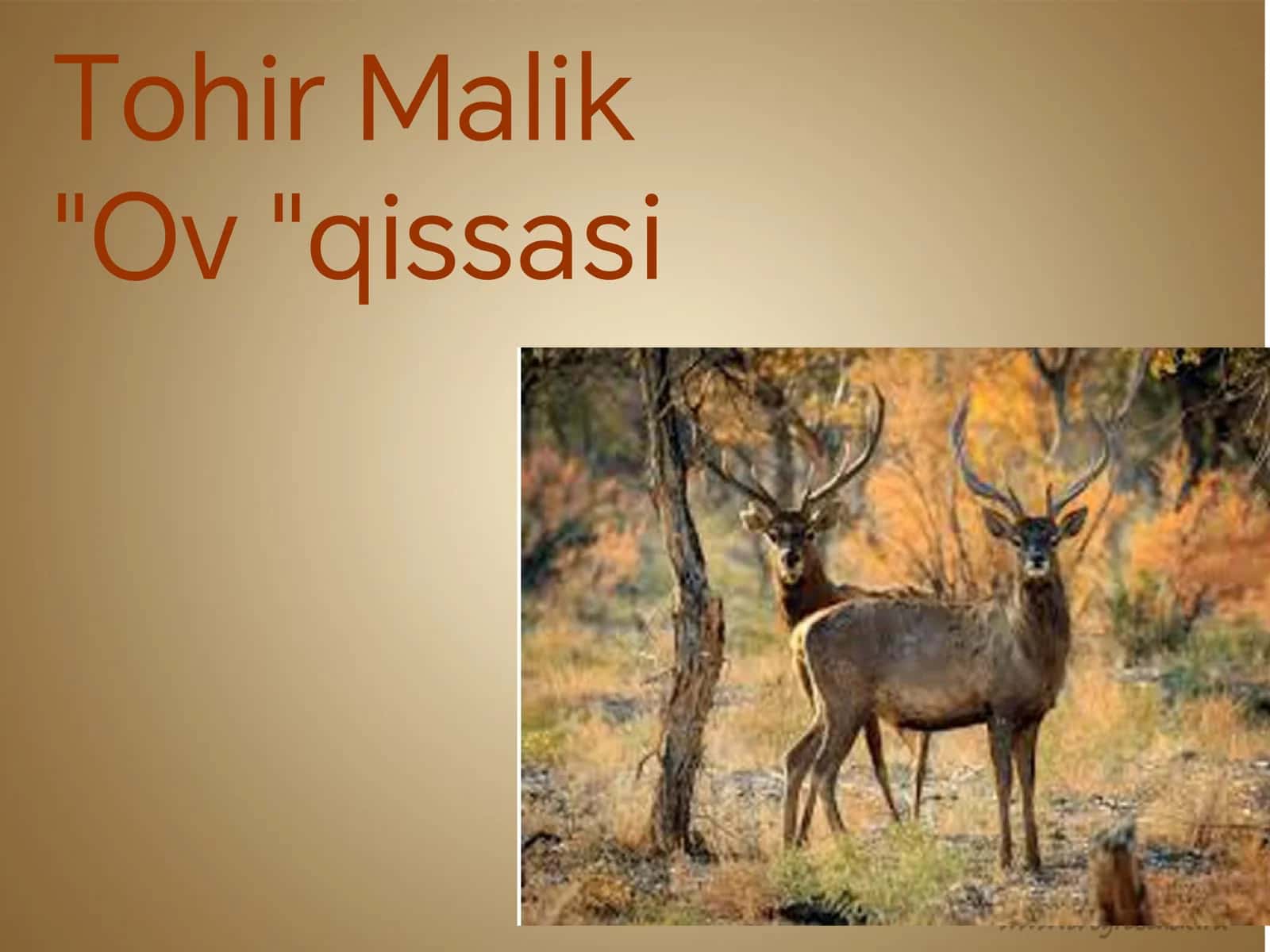 Badiiy asar tahlili 2
