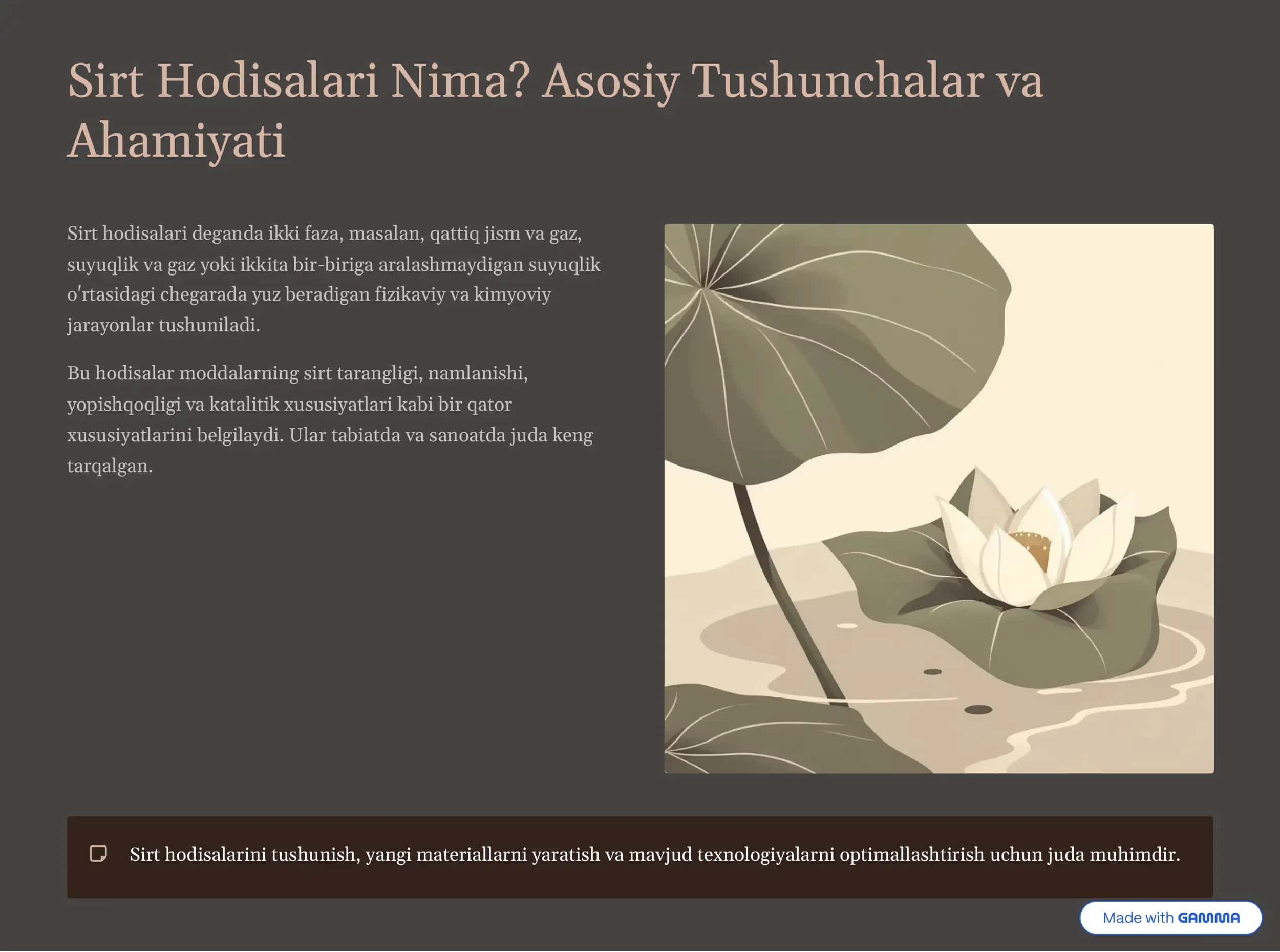 Sirt Hodisalari va Adsorbsiya 2