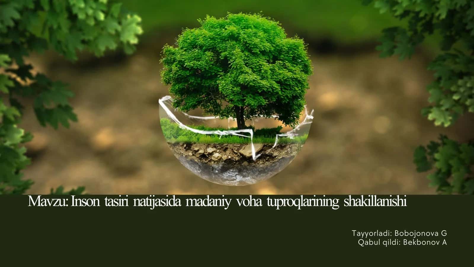 Inson tasiri natijasida madaniy voha tuproqlarining shakillanishi 2