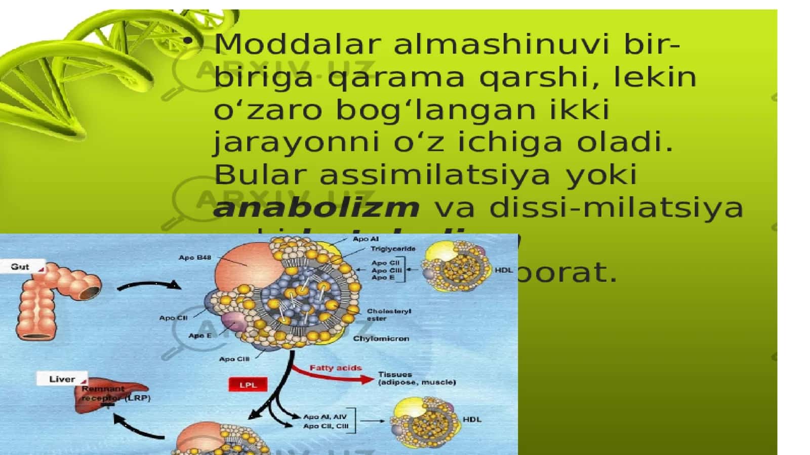 Metabolizm jarayonida energiya hosil bo'lishi va sarﬂanishi 2