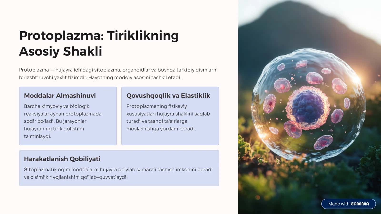 O'simlik Rivojlanishida Hujayra Protoplazmasining Fiziologik Xususiyatlari 2