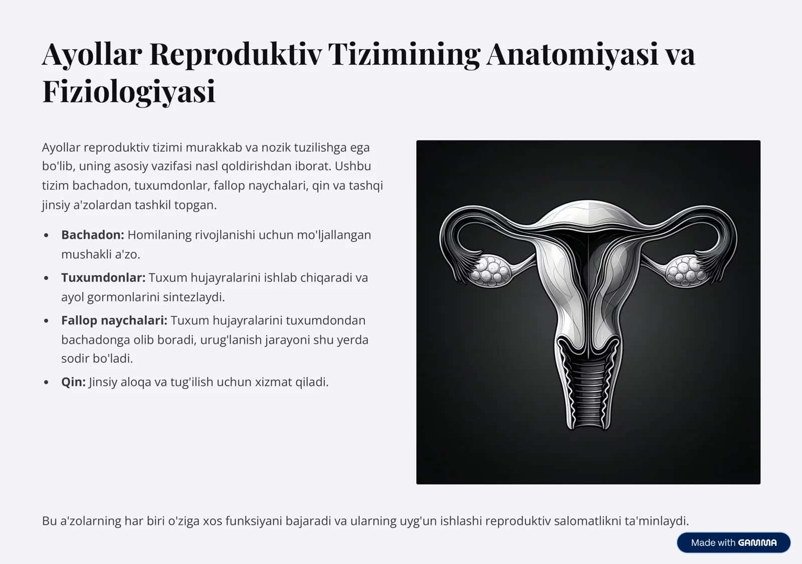 Ayollar Reproduktiv Anatomiyasi va Fiziologiyasi 2