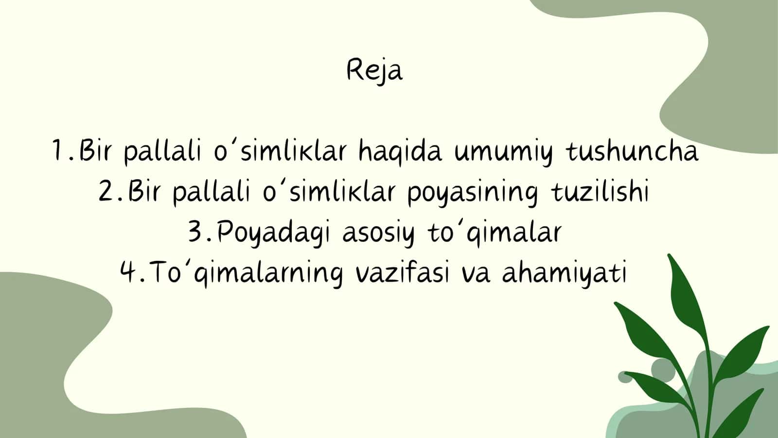Bir pallali o'simliklar 2