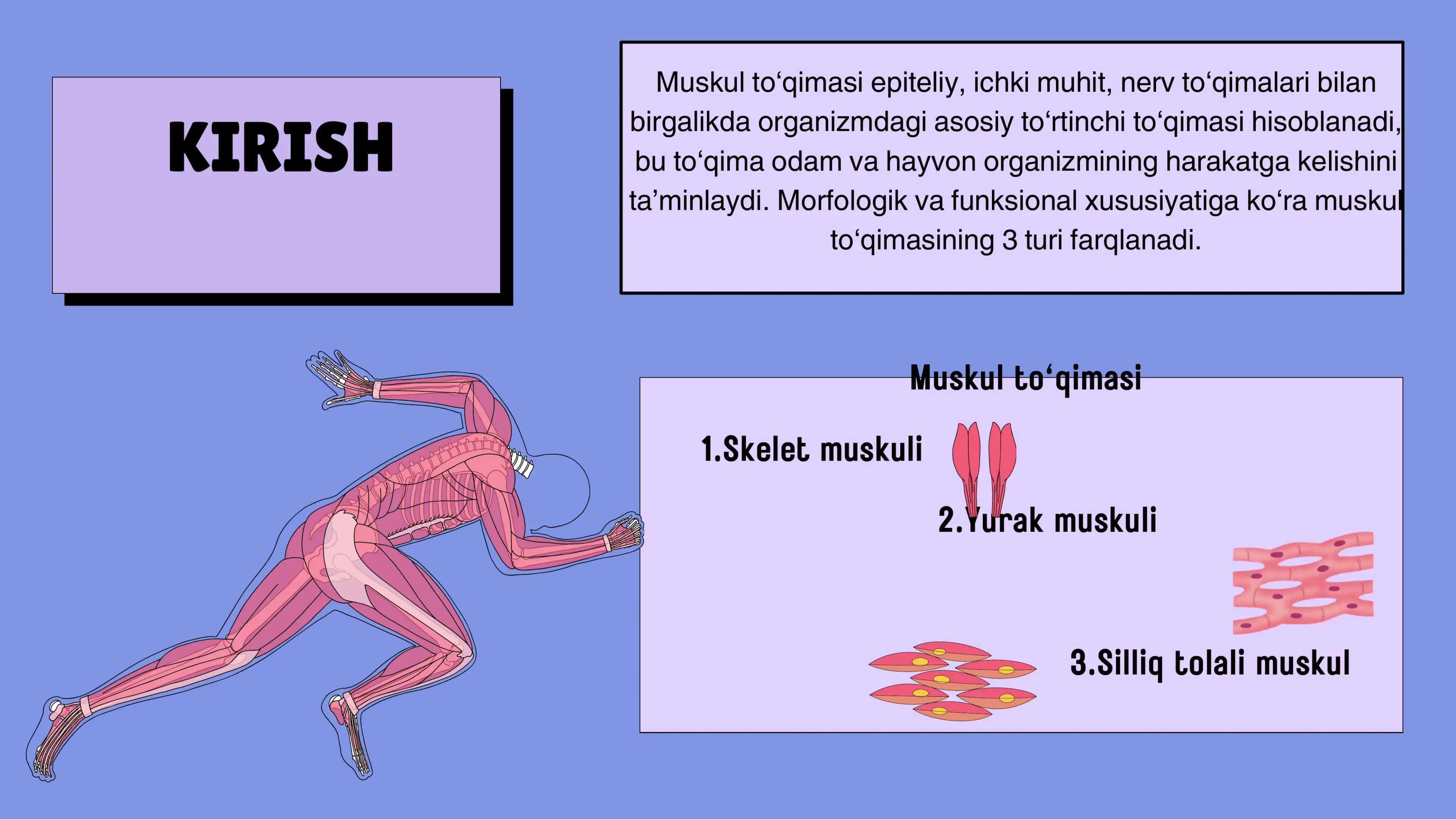 Kondalang targ'il va silliq mushaklarning qisqarish mexanizmi 2