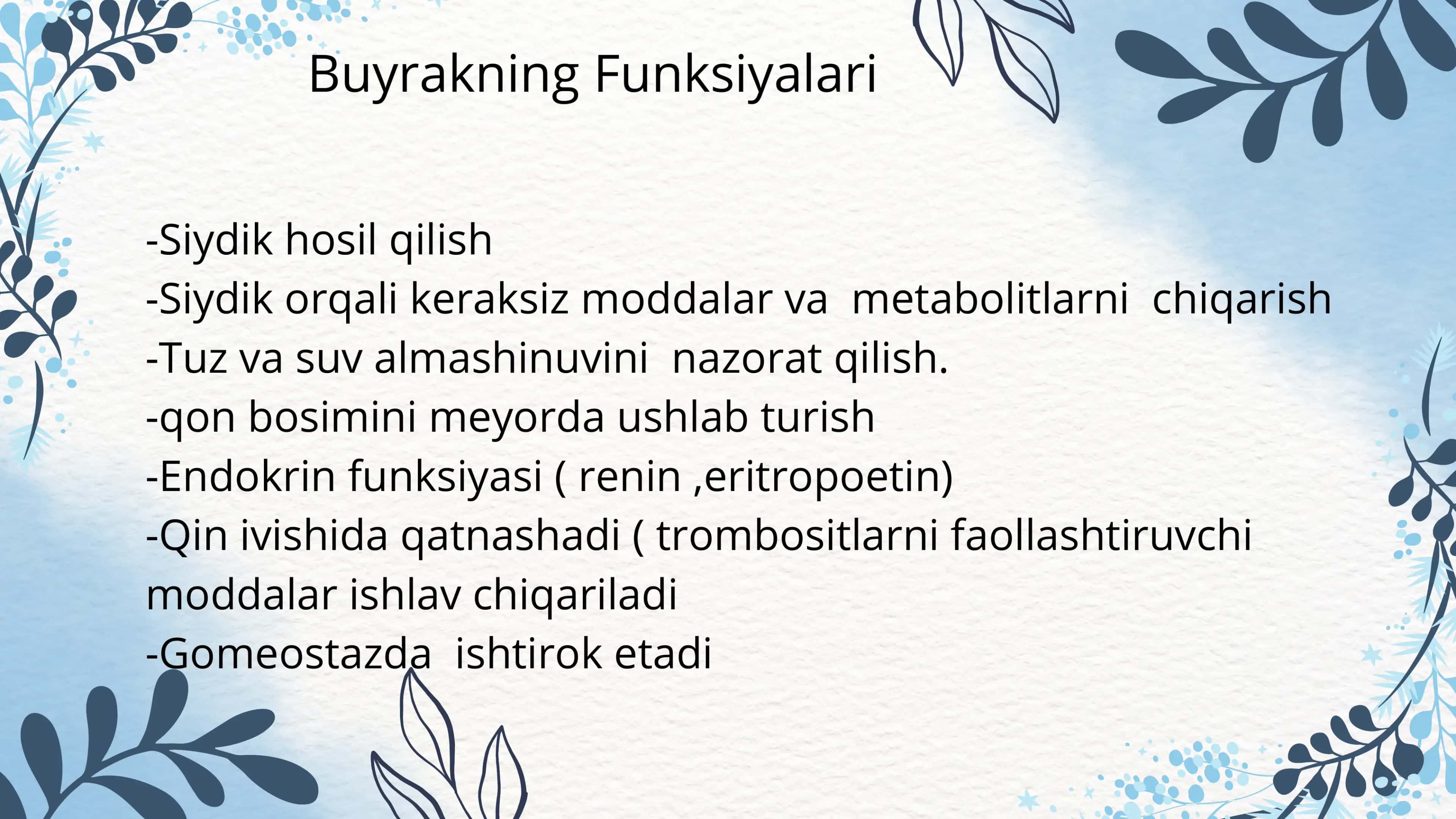 Ayiruv sistemasi,buyraklar 2