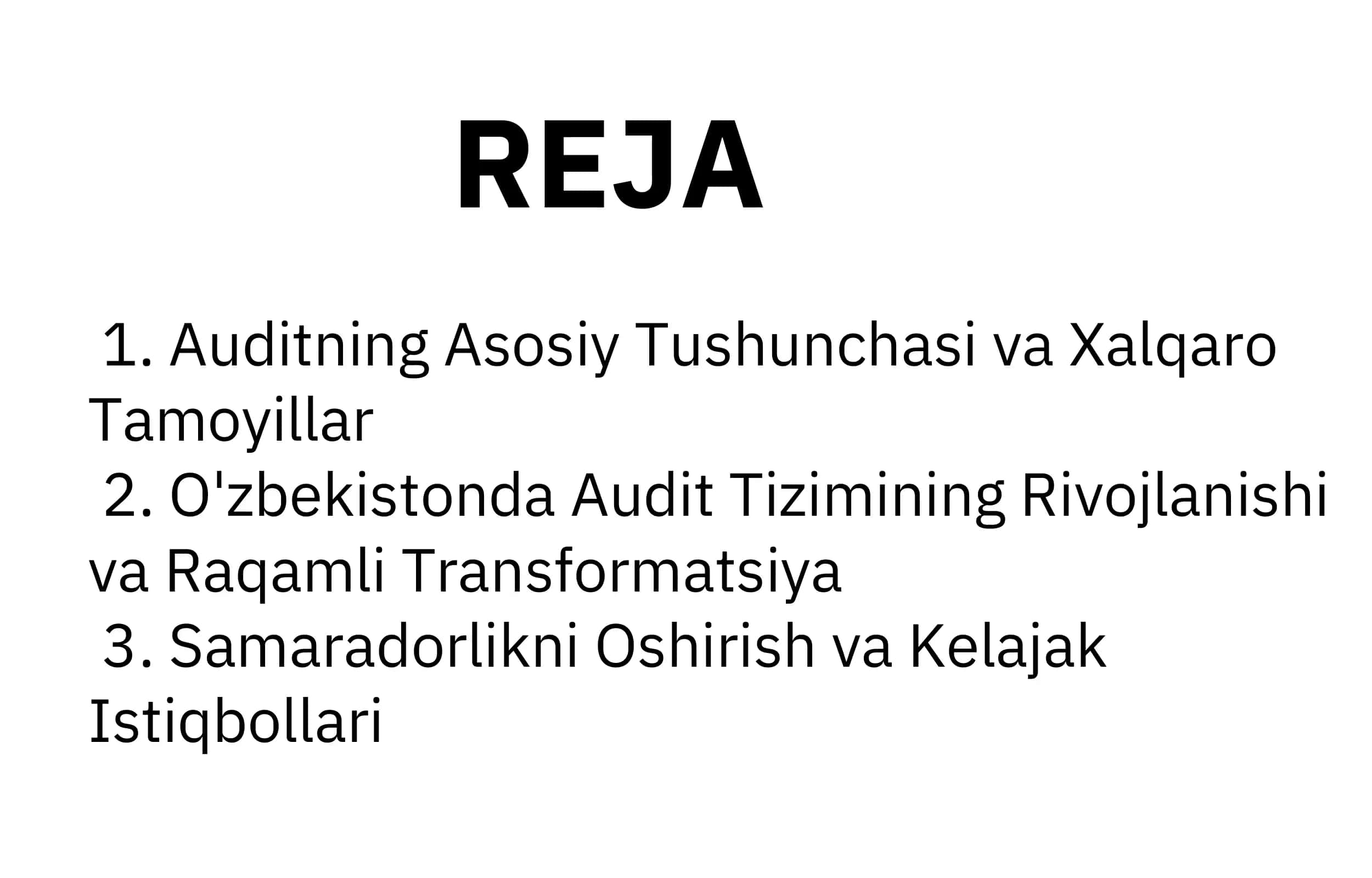 AUDITGA UMUMIY TAVSIF 2