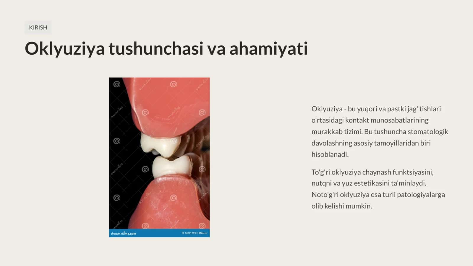 Oklyuziya turlari: markaziy, lateral, oldingi. Markaziy okklyuziyani belgilari. Tishlov. Tishlov turlari. 2