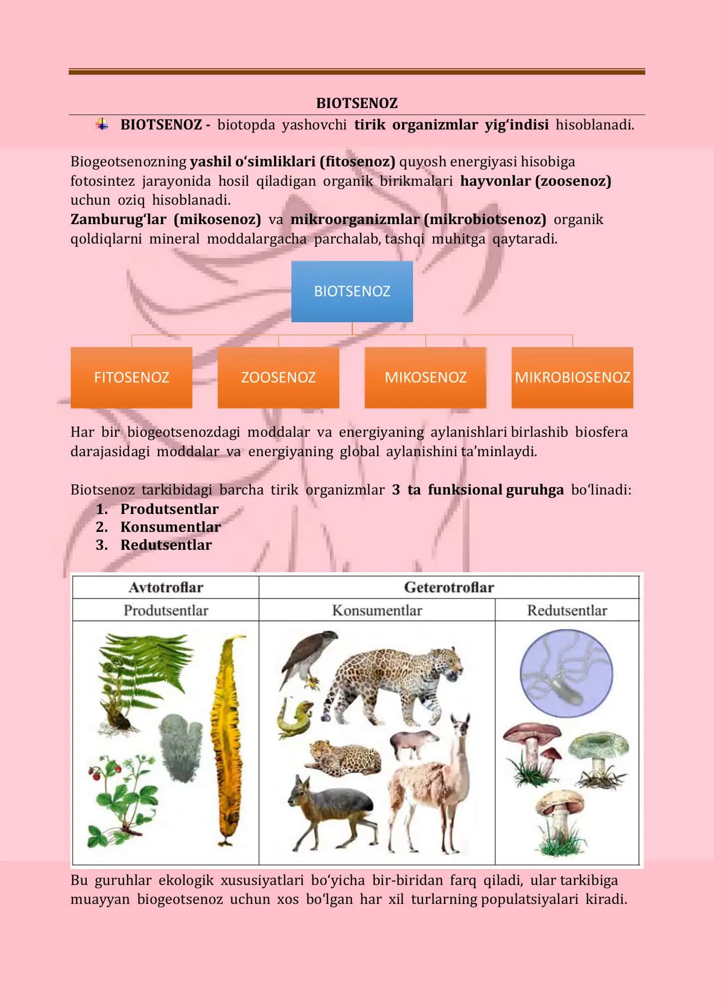 Ekosistemaning Tarkibiy Qismlari 2