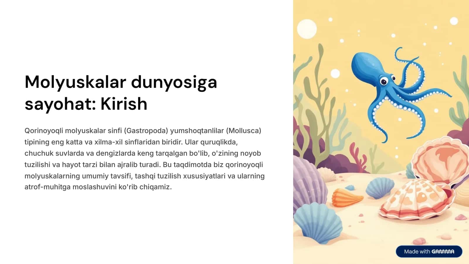 Qorinoyoqli molyuskalar 2