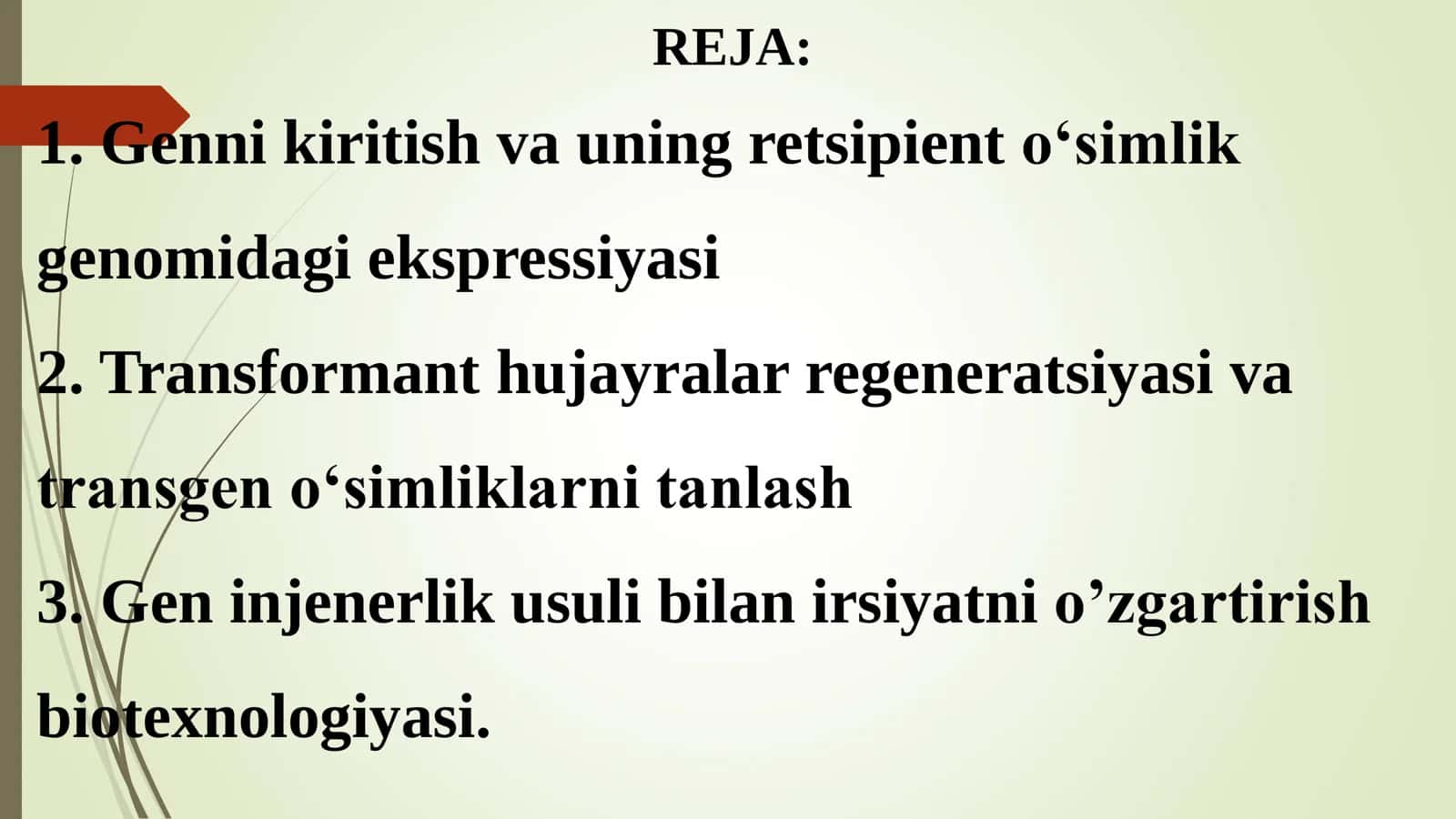 O’SIMLIK GEN MUHANDISLIGI 2