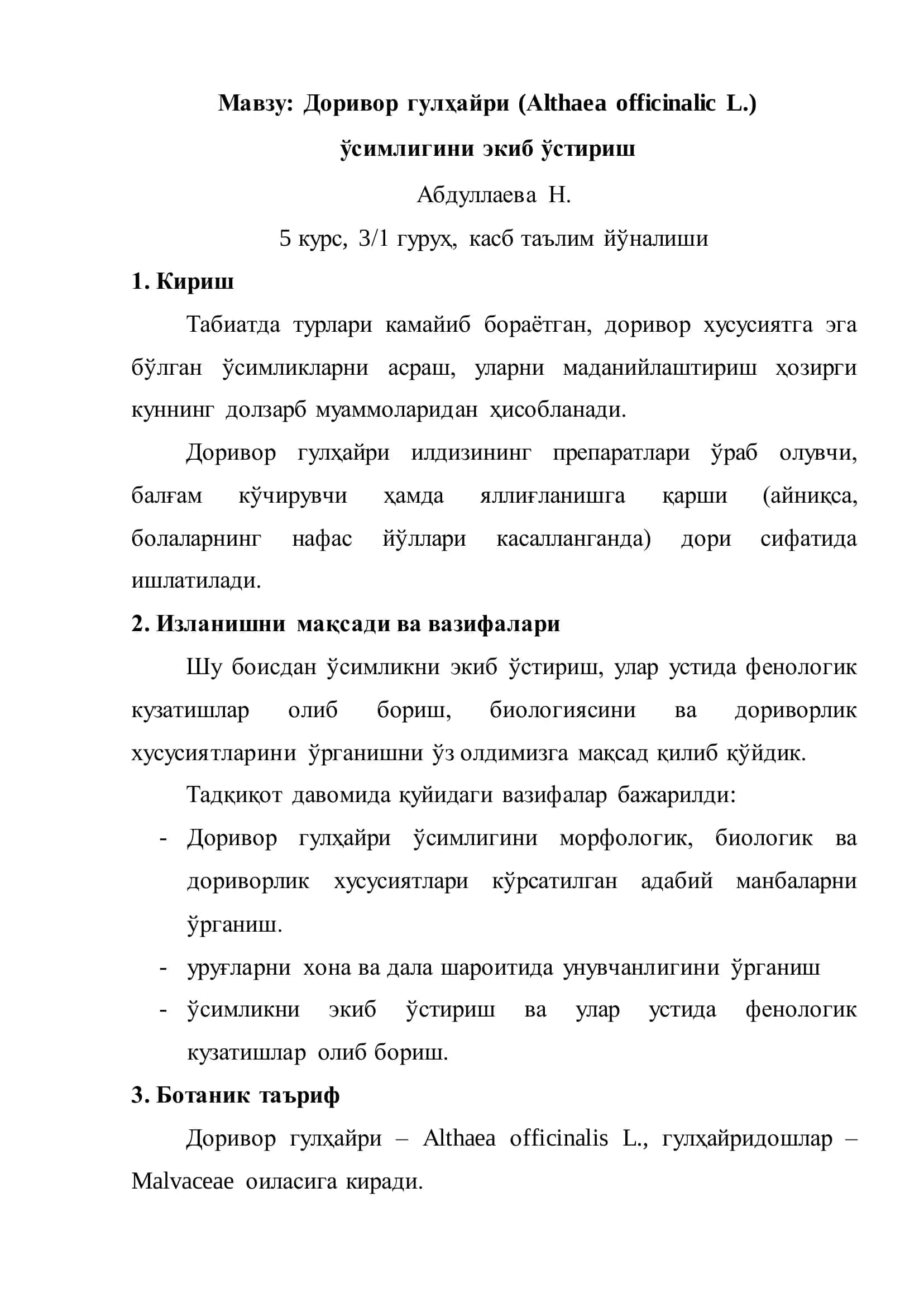 Доривор гулҳайри (Althaea officinalis L.) 2