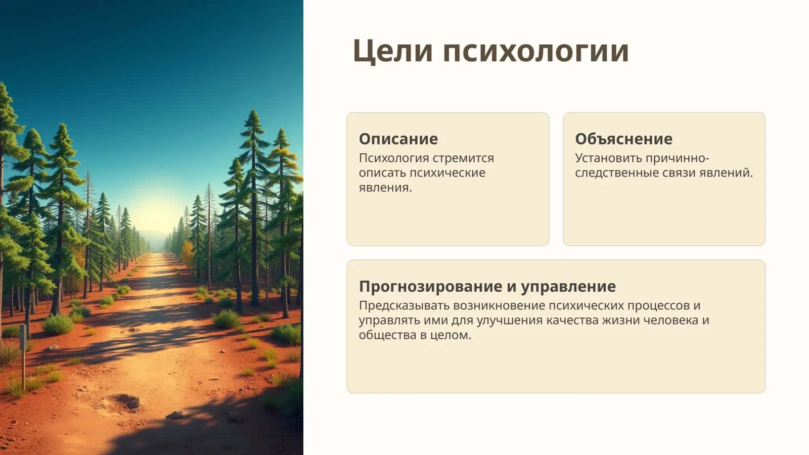 Введение в психологию 2