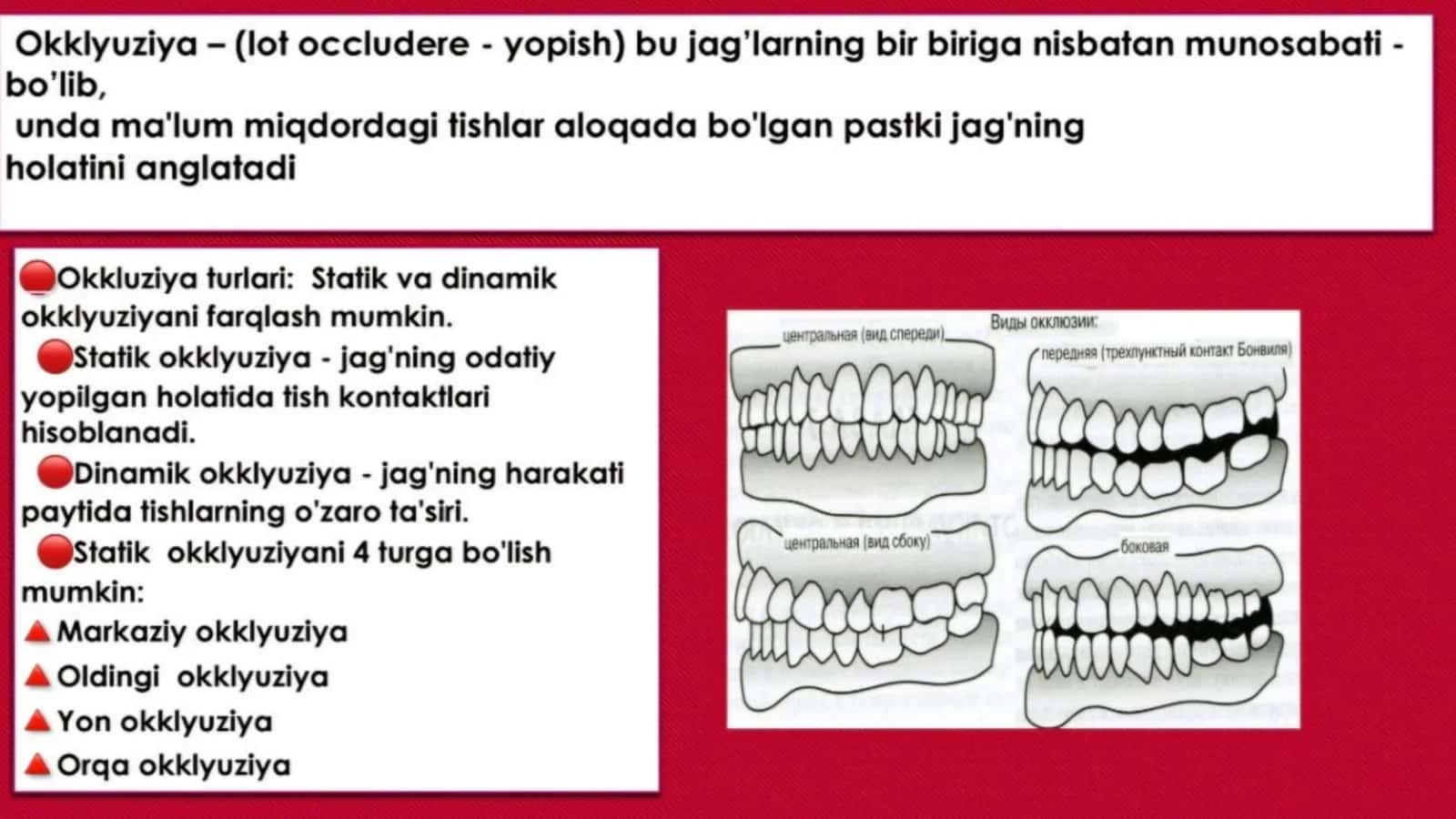 ARTIKULYATSIYA VA OKKLUZIYA QOIDALARI 2