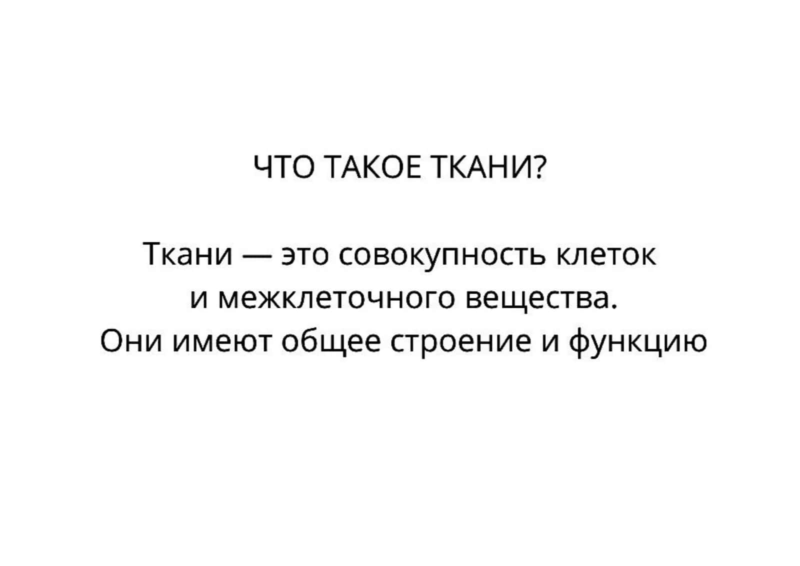 ТКАНИ 2