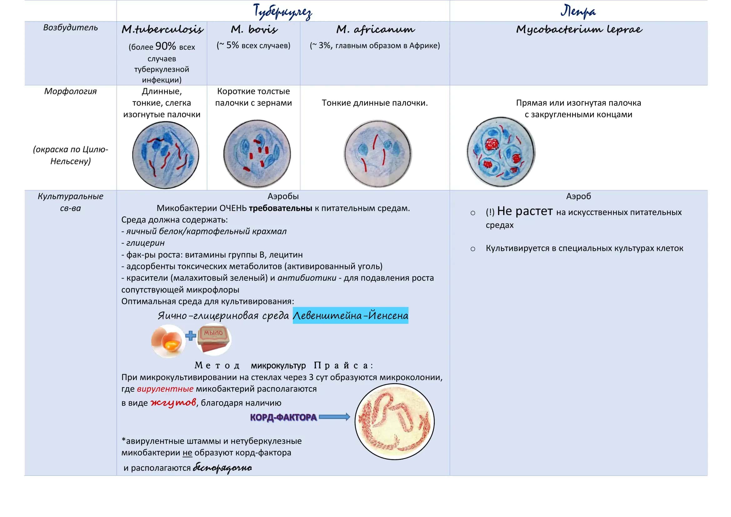 Туберкулез 2