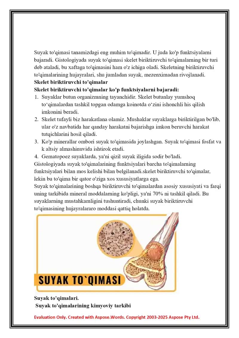 Suyak to’qimasi.Muskul to’qimasi 2