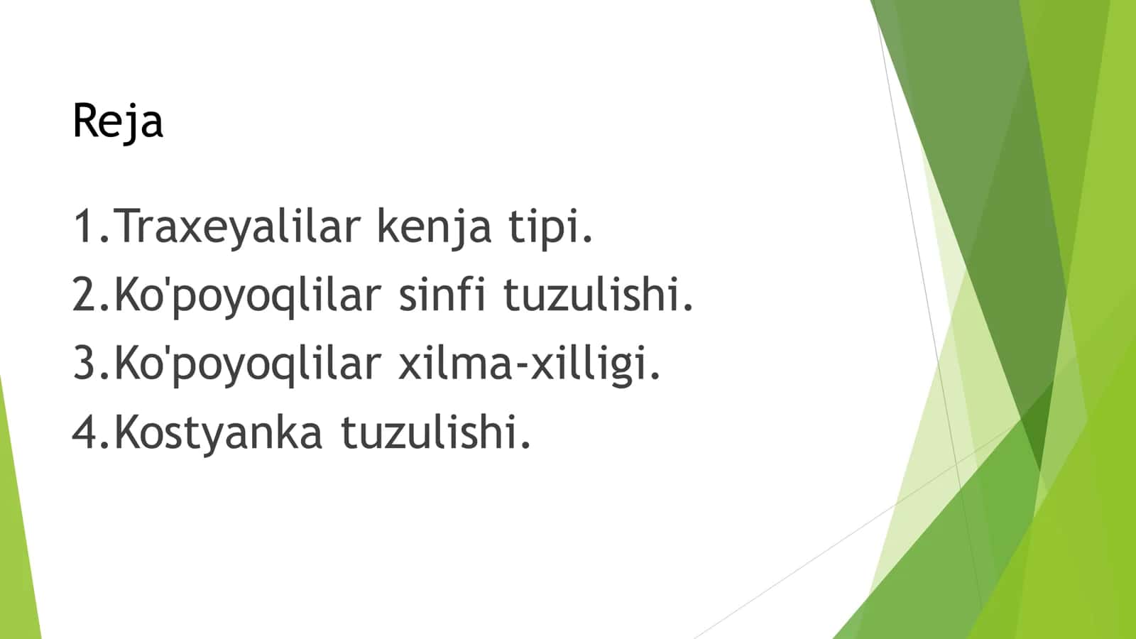 Traxeyalilar kenja tipi 2