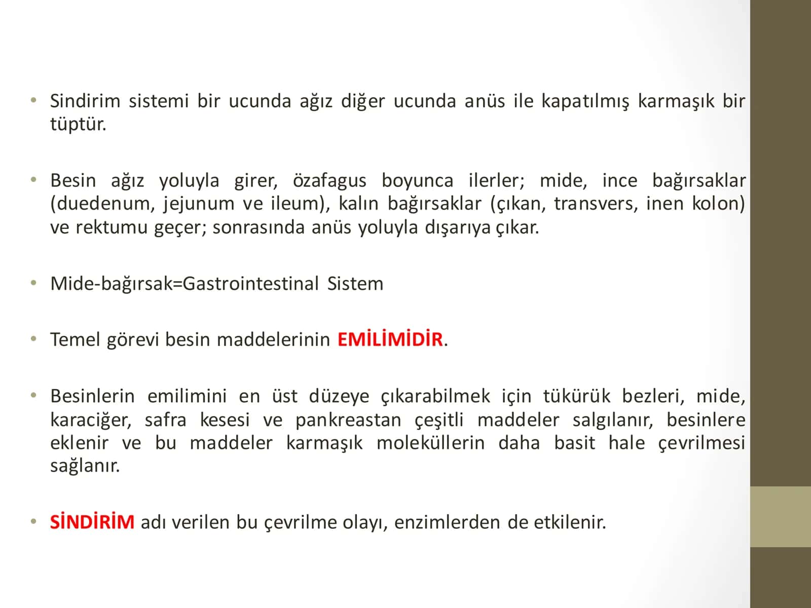 ovqat hazm qilish sistemasi 2