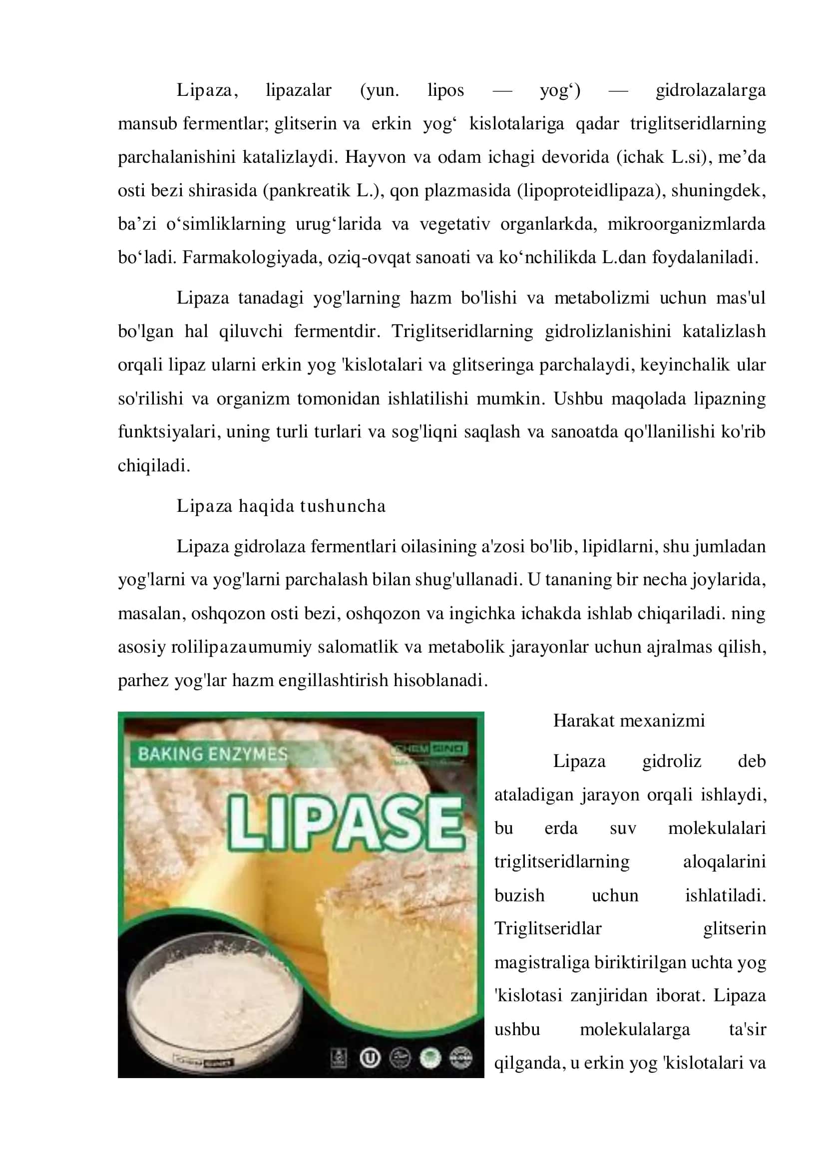 Lipaza fermenti 2