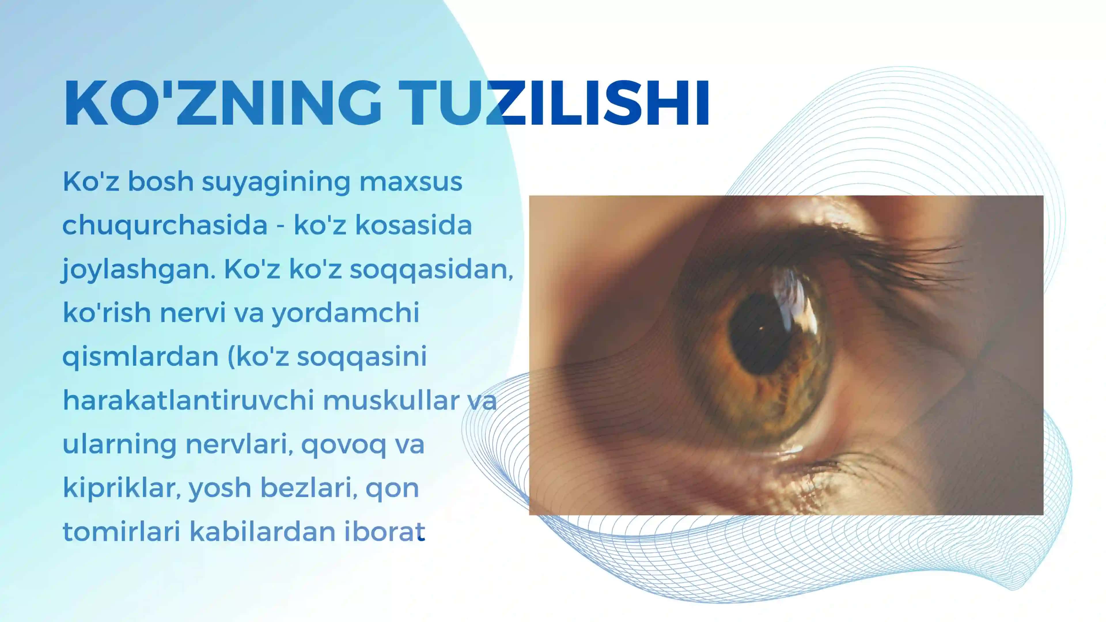Ko'rish va Eshitish Organlarining Xususiyati va Gigiyenasi 2