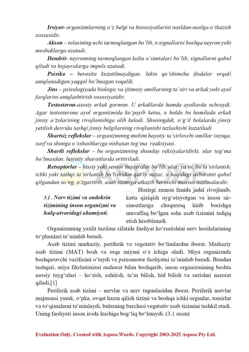 Nerv tizimi va endokrin tizimining inson organizmi va hulq atvoridagi ahamiyati 2