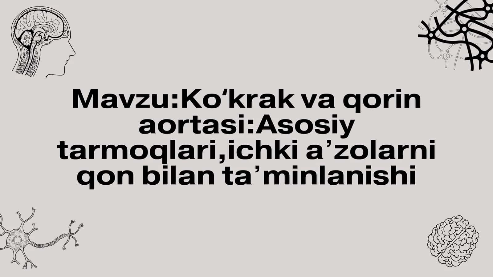 Koʻkrak va qorin aortasi:Asosiy tarmoqlari,ichki aʼzolarni qon bilan taʼminlanishi 2