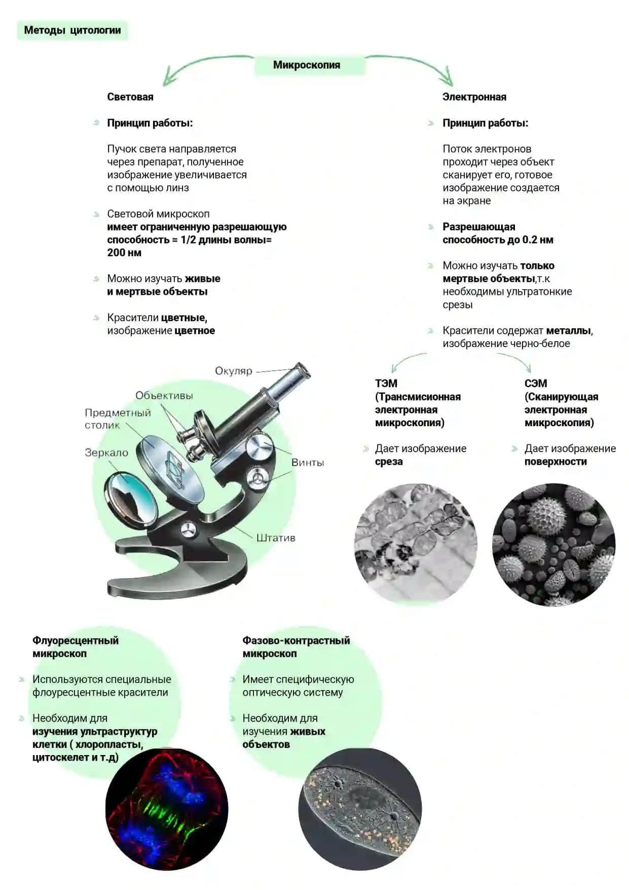 Общая биология (Umumiy biologiya) fanini rus tilida o'rganuvchi va o'rgatuvchilar uchun qo'llanma 2