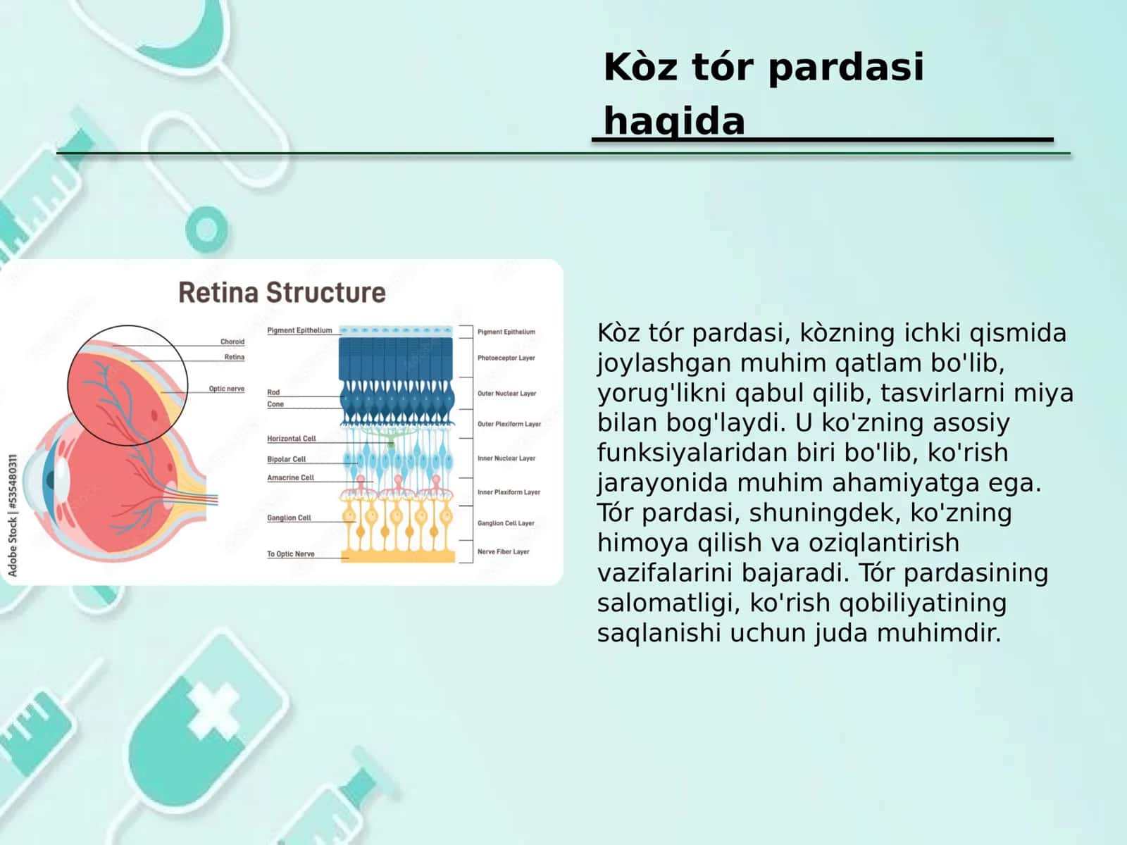 Kòz tór pardasining degenerativ kasalliklari. Uveit. Katarakta. Retinopatiya. Tór parda ósmalari 2
