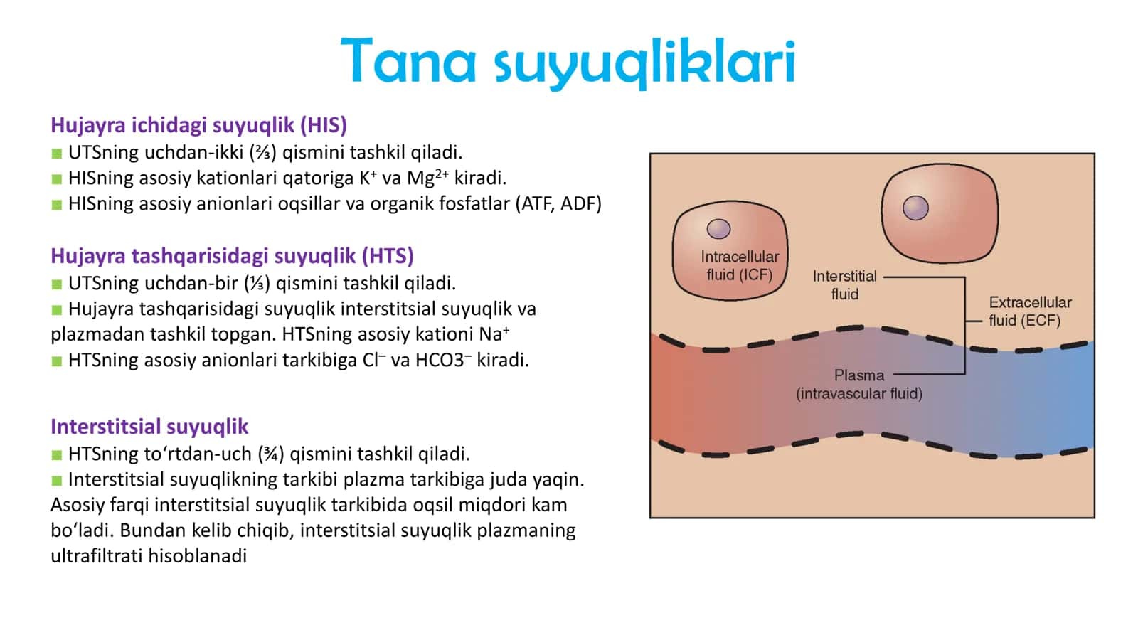 FIZIOLOGIYA Nefron Fiziologiyasi 2
