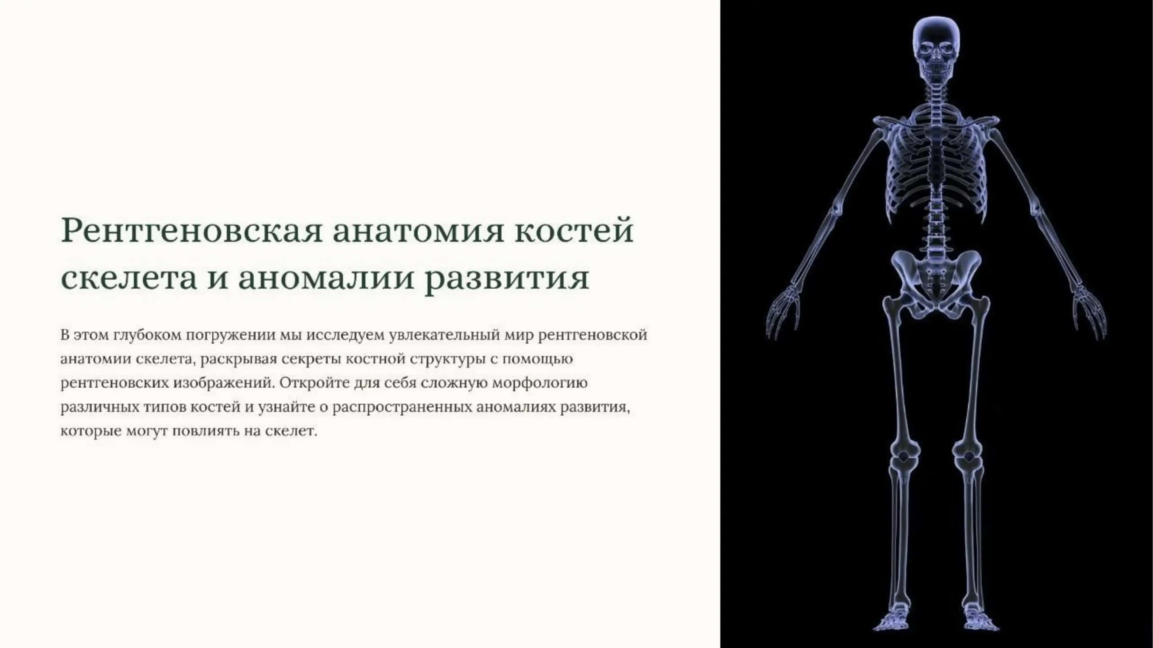 Рентгеновская анатомия костей скелета. Аномалии развития скелета. 2