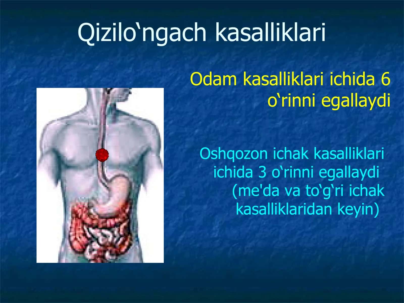 Bolalarda qizilo’ngach kuyishi va yot jismlari 2