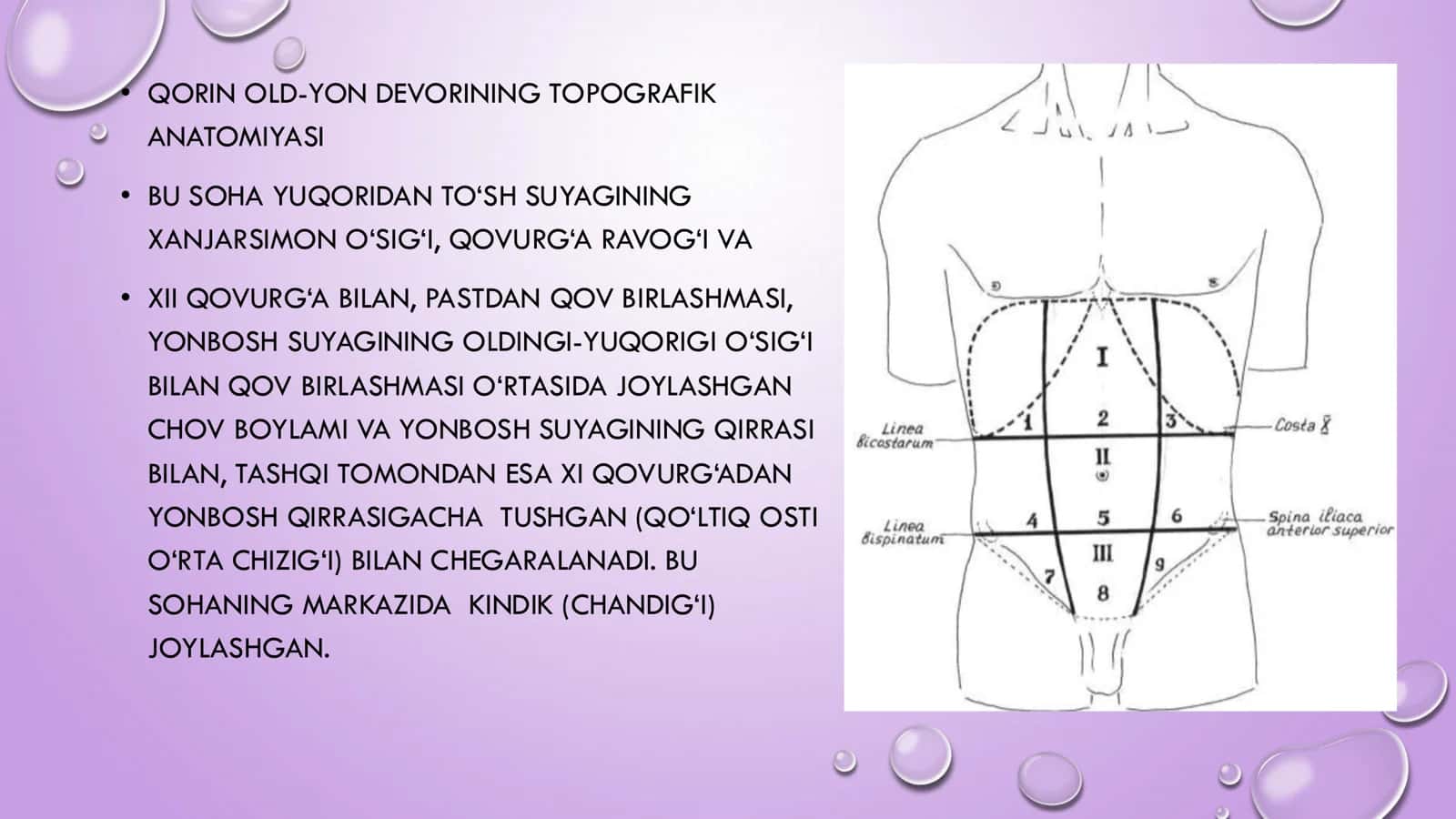 QORIN DEVORI TUG’MA 
ANOMALIYALARINING TOPOGRAFIK 
ANATOMIYASI VA OPERATSIYASI. KINDIK 
TIZIMCHAS 2