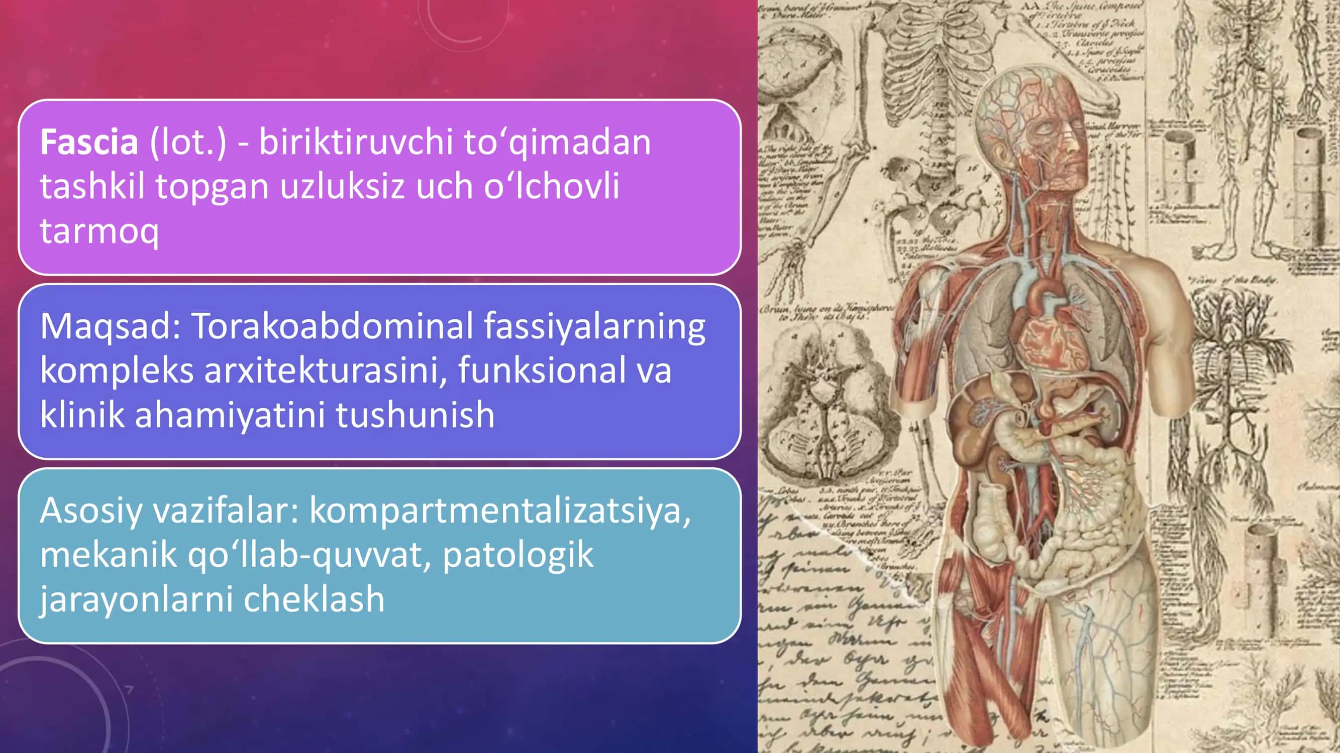 Ko'krak, qorin fassiyalari va klinik ahamiyati 2