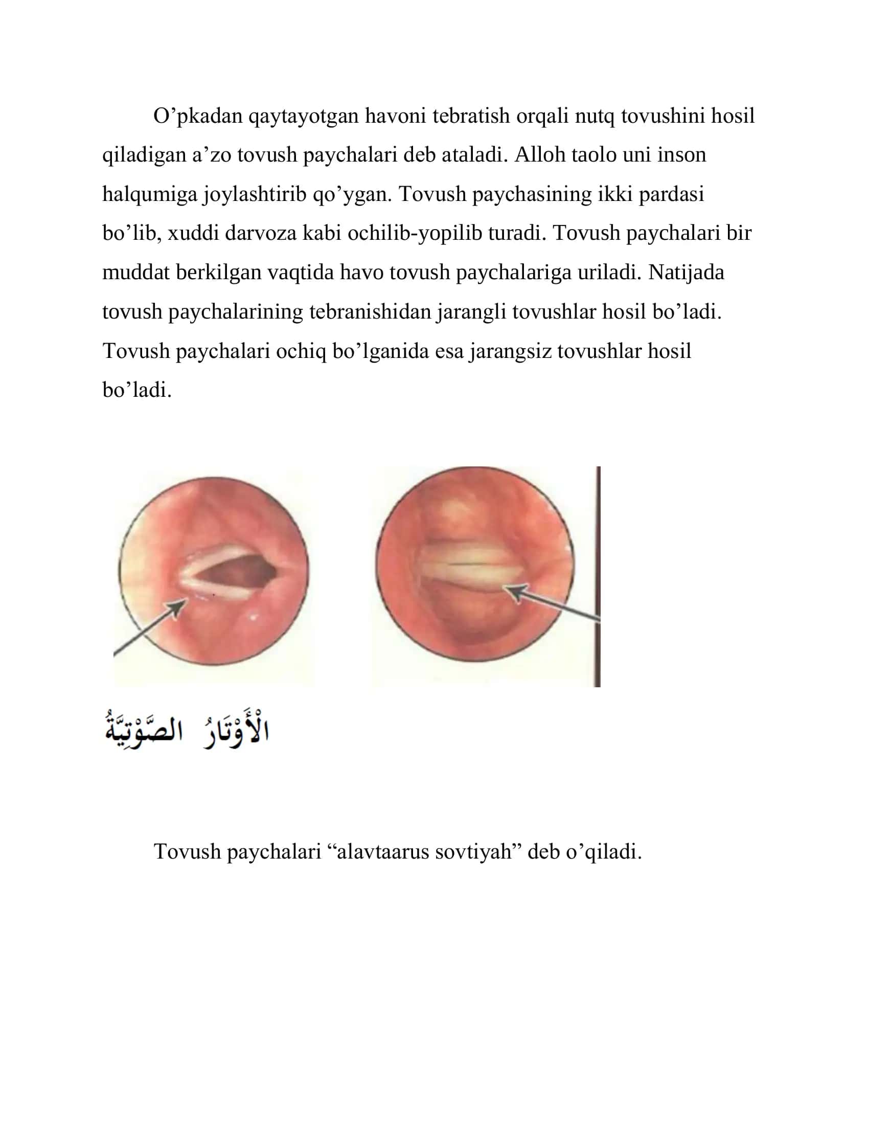 Halqum nutq a’zolari 2