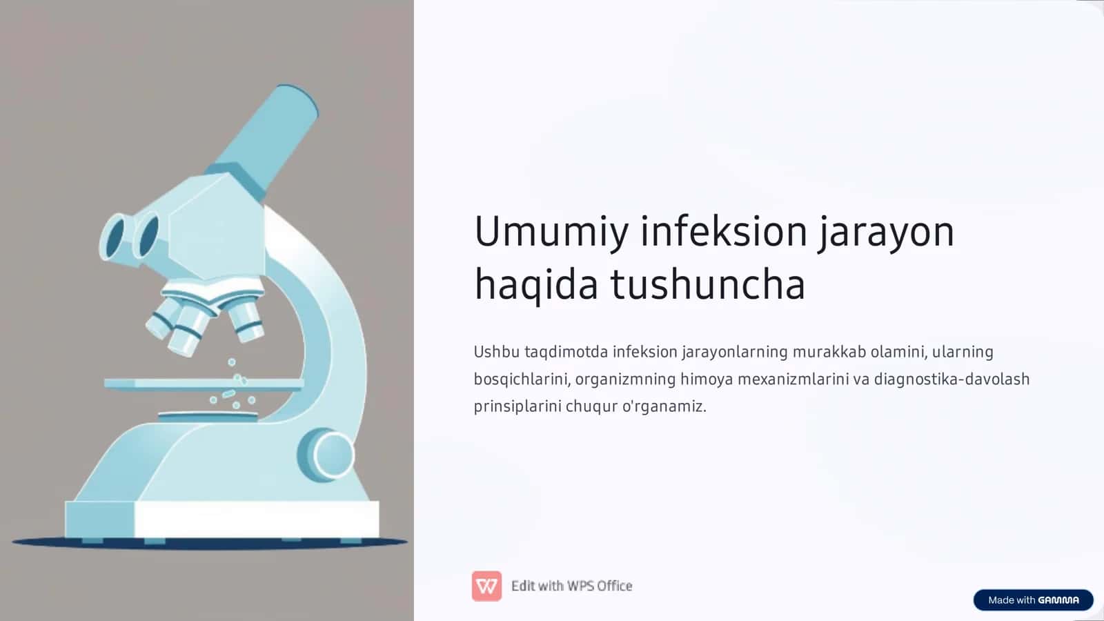 Ushbu taqdimotda infeksion jarayonlar bosqichlari 2