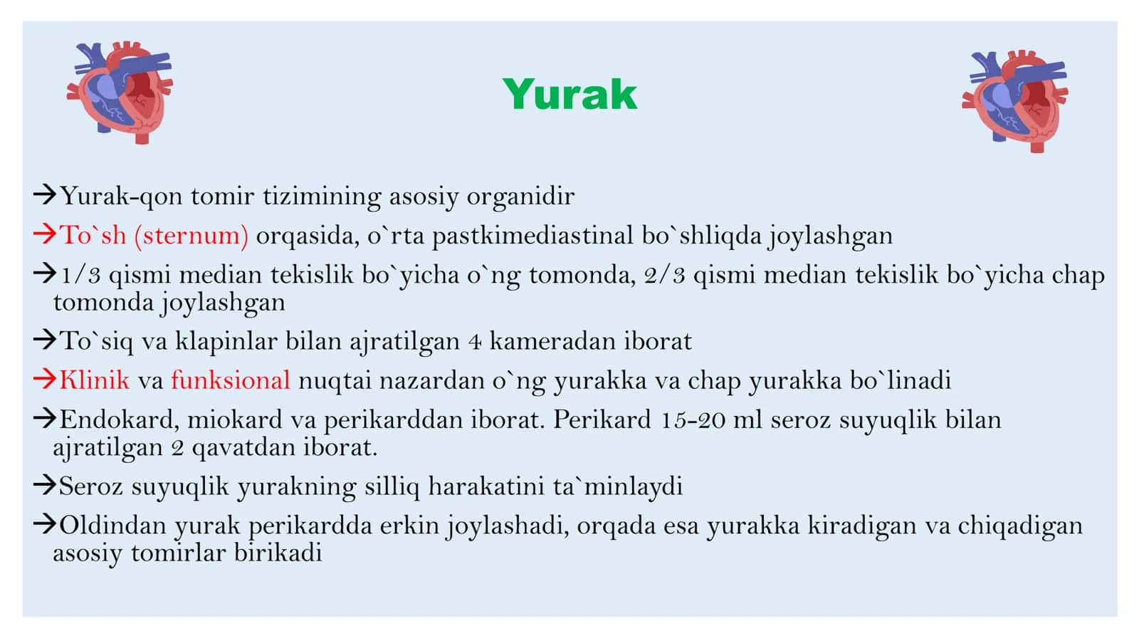 Normal yurak anatomiyasi 2