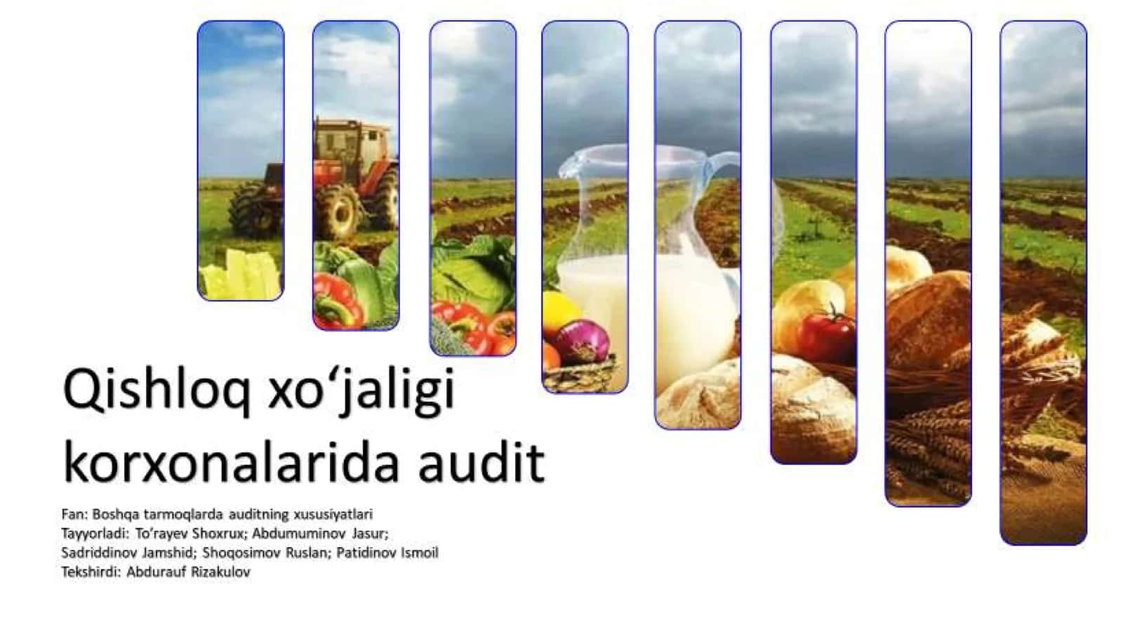 BOSHQA TARMOQLARDA AUDITNING XUSUSIYATLARI 2