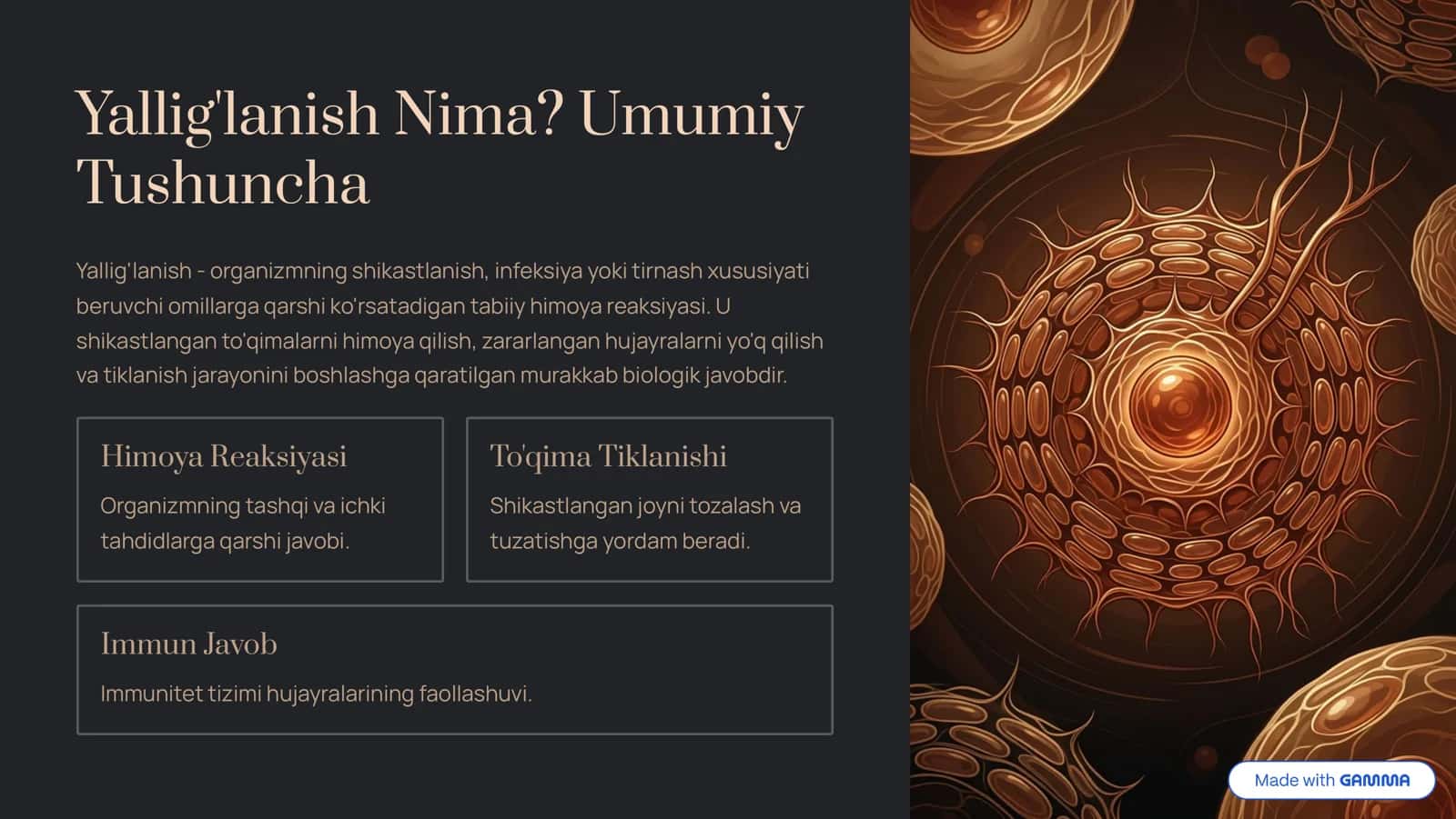 Yallig'lanish: Bosqichlari va Belgilari 2