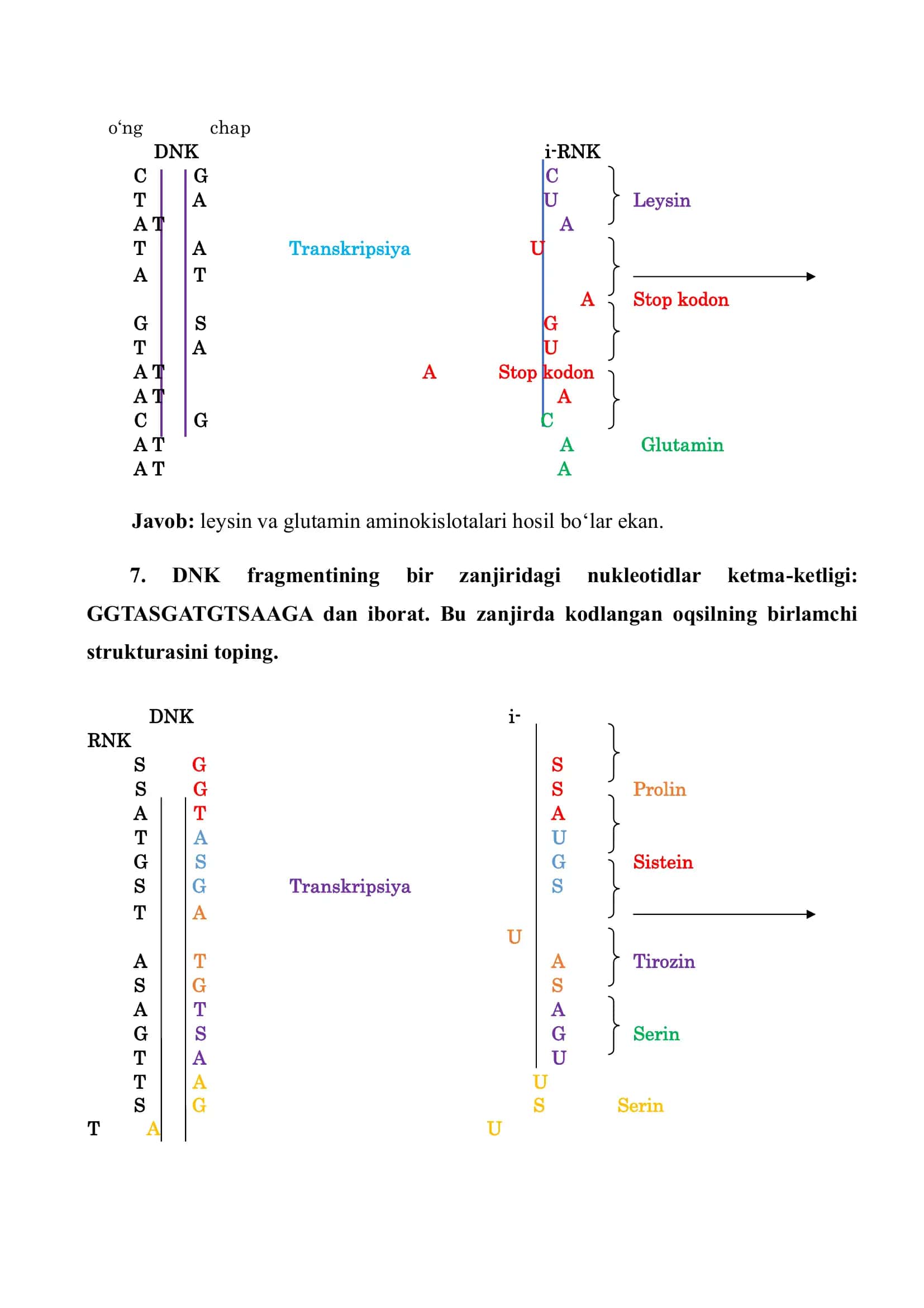 9-sinflar uchun Biologiya masalalar yechimlari 2