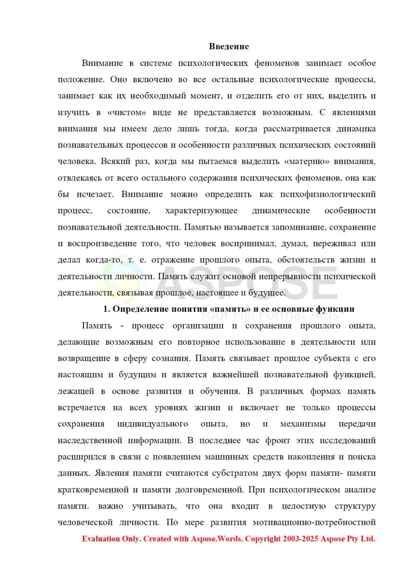 Внимание память 2